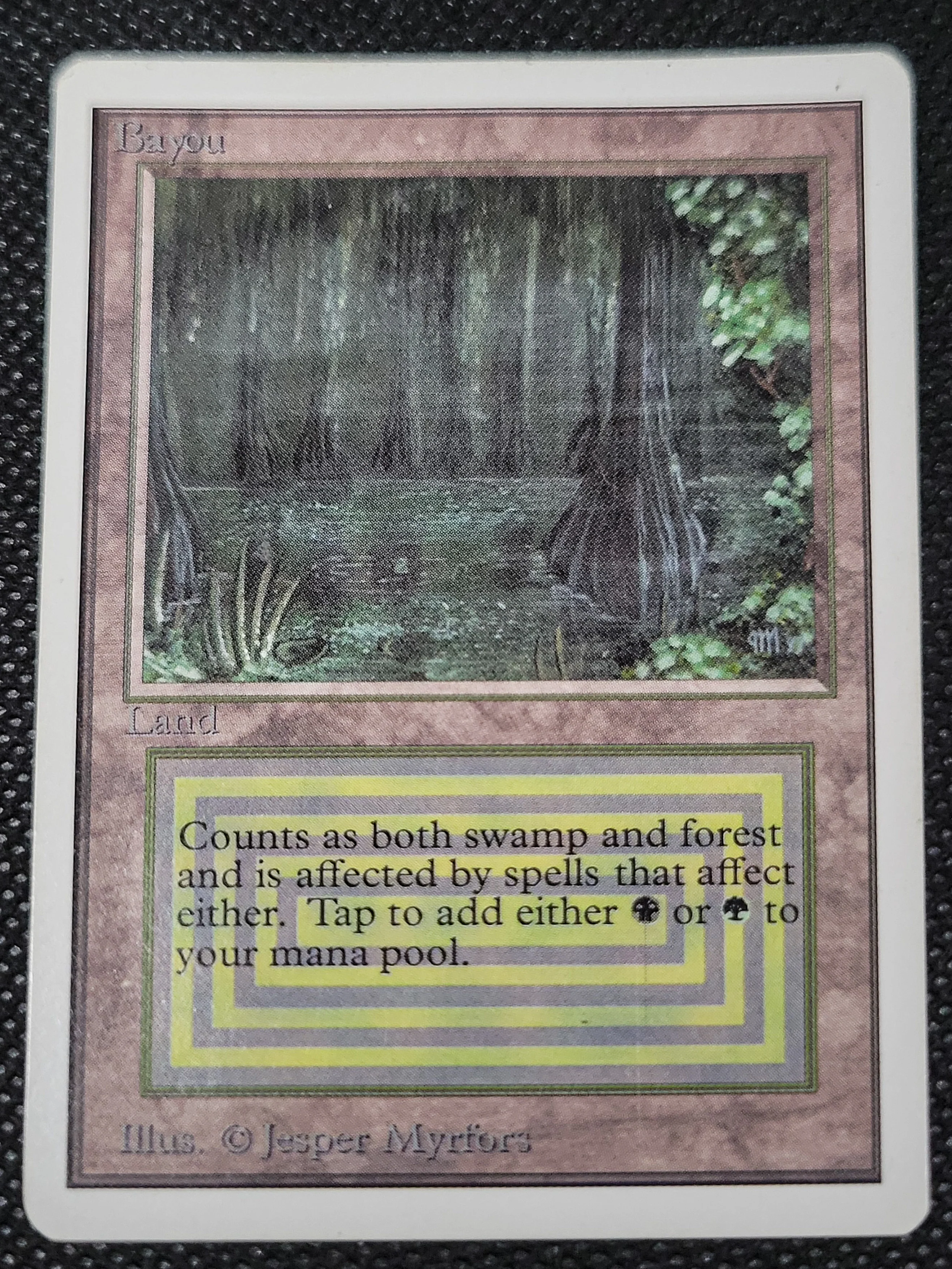 Bayou — ID 17002 - Image 3