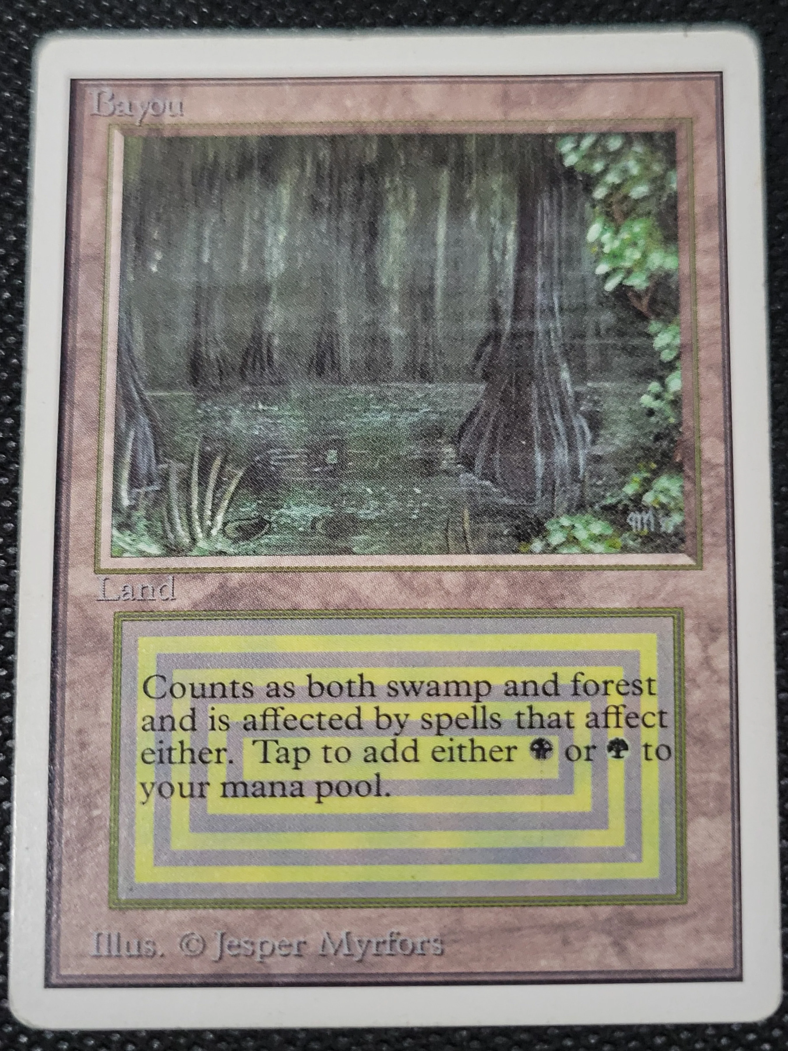 Bayou — ID 17004 - Image 3