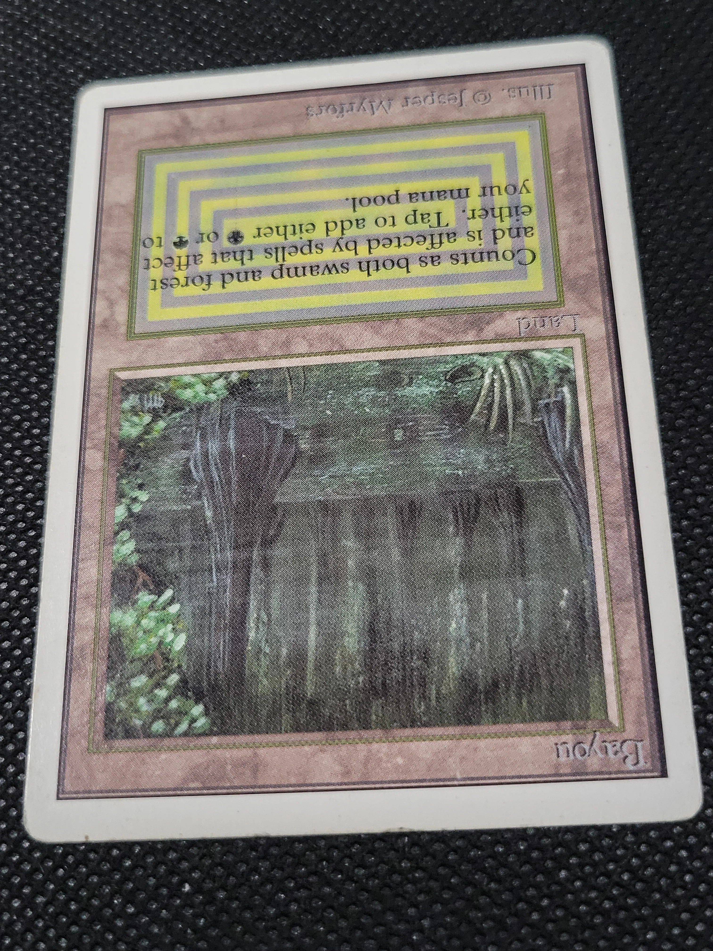 Bayou — ID 17004 - Image 4