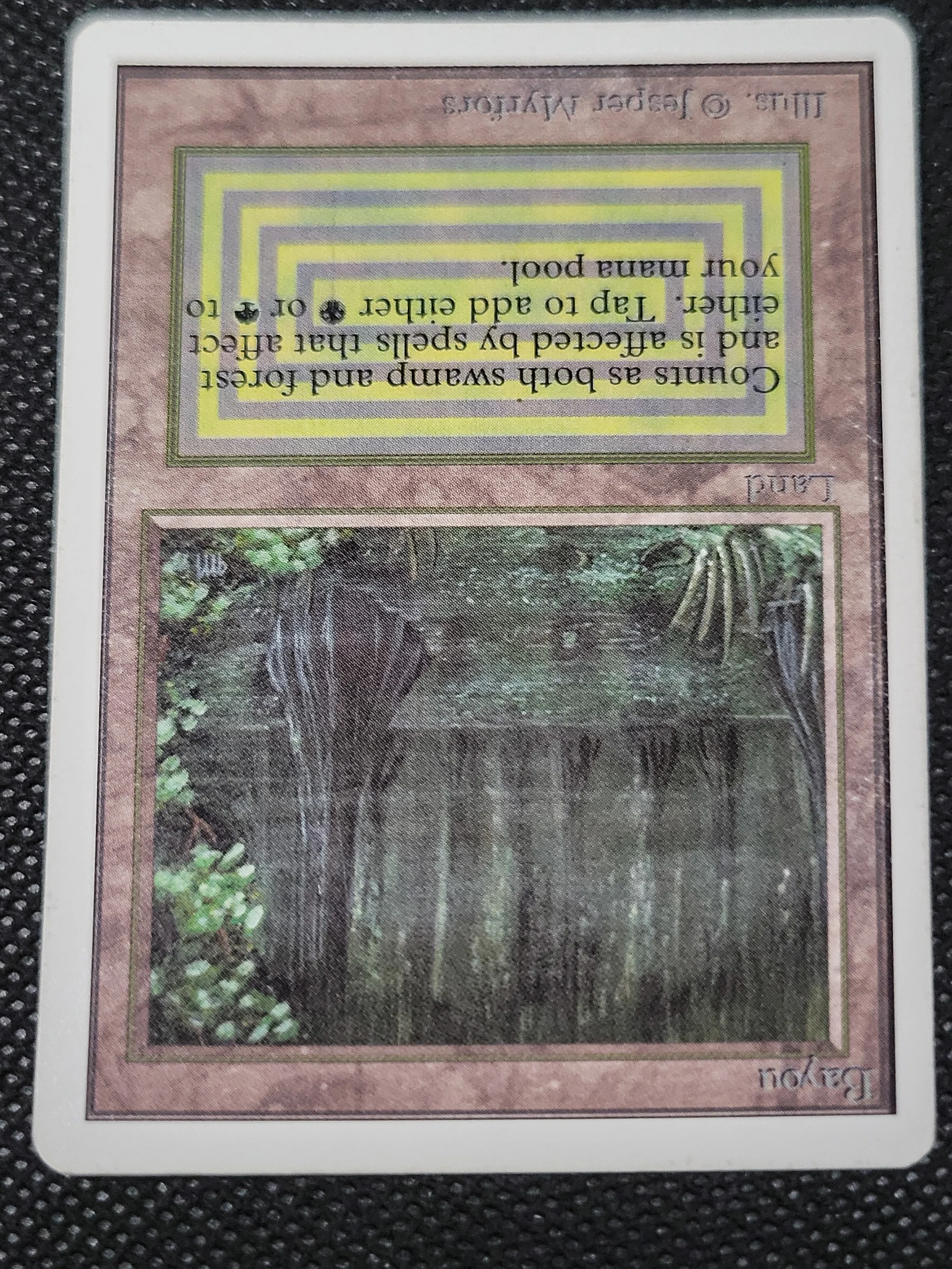 Bayou — ID 17005 - Image 4