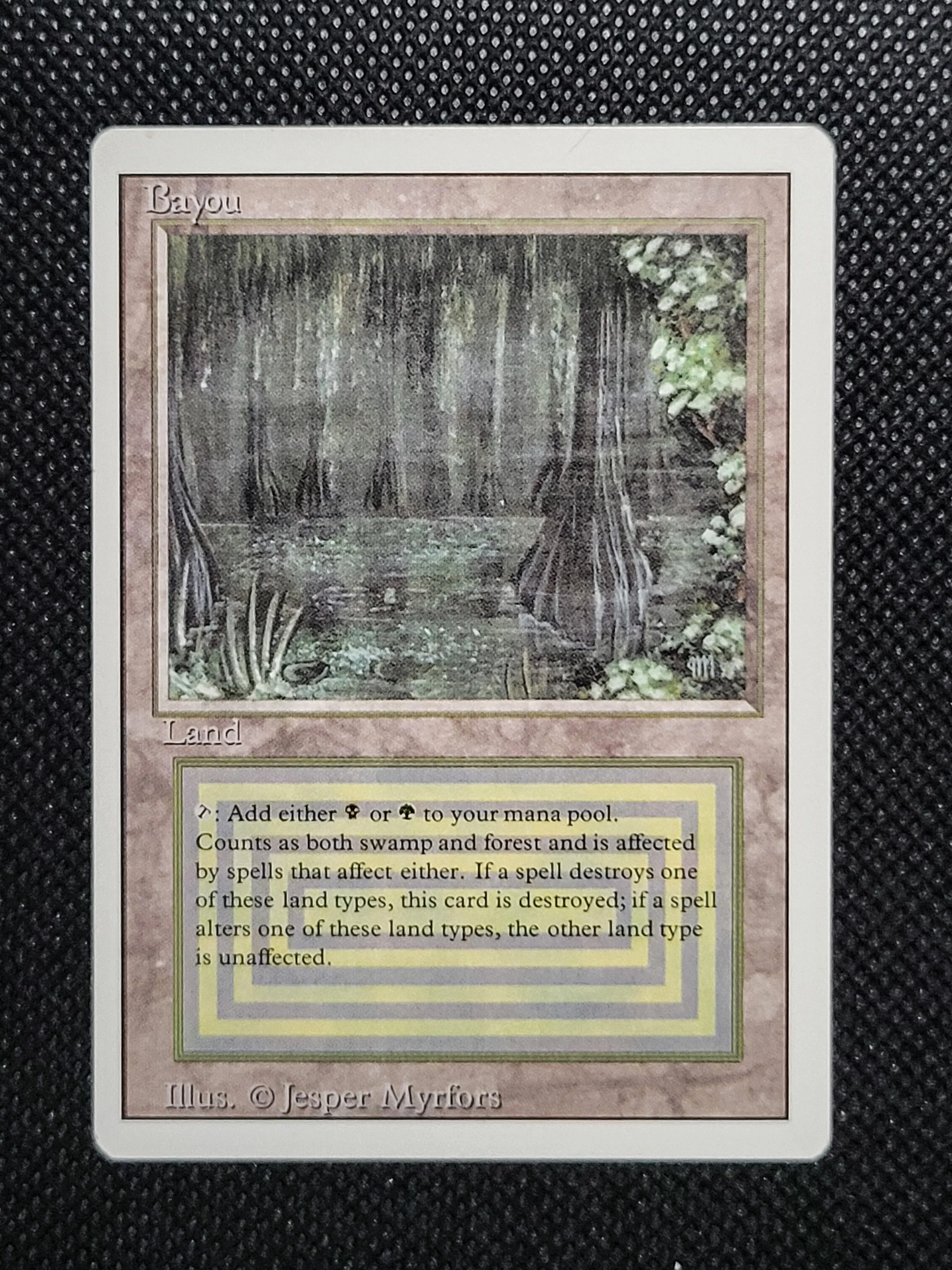 Bayou — ID 17008 - Image 3