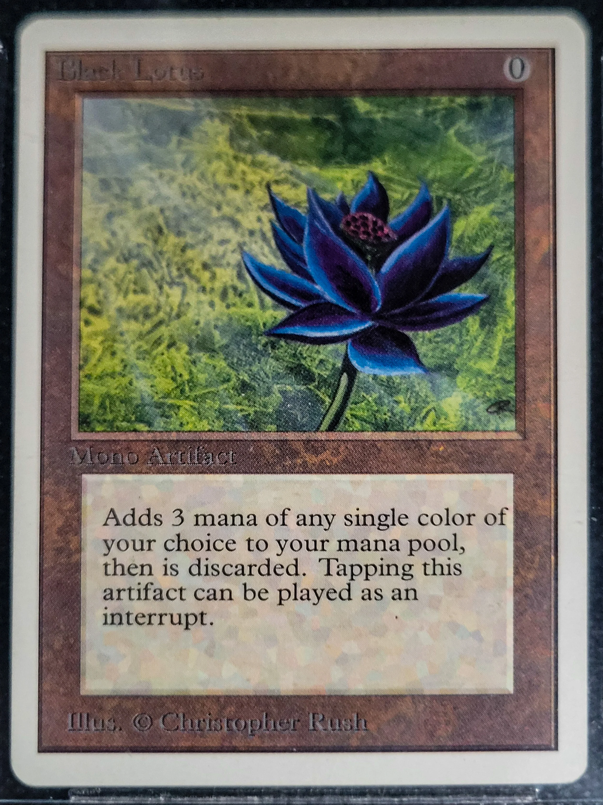 Black Lotus — Beckett 8 — ID 16823 - Image 3