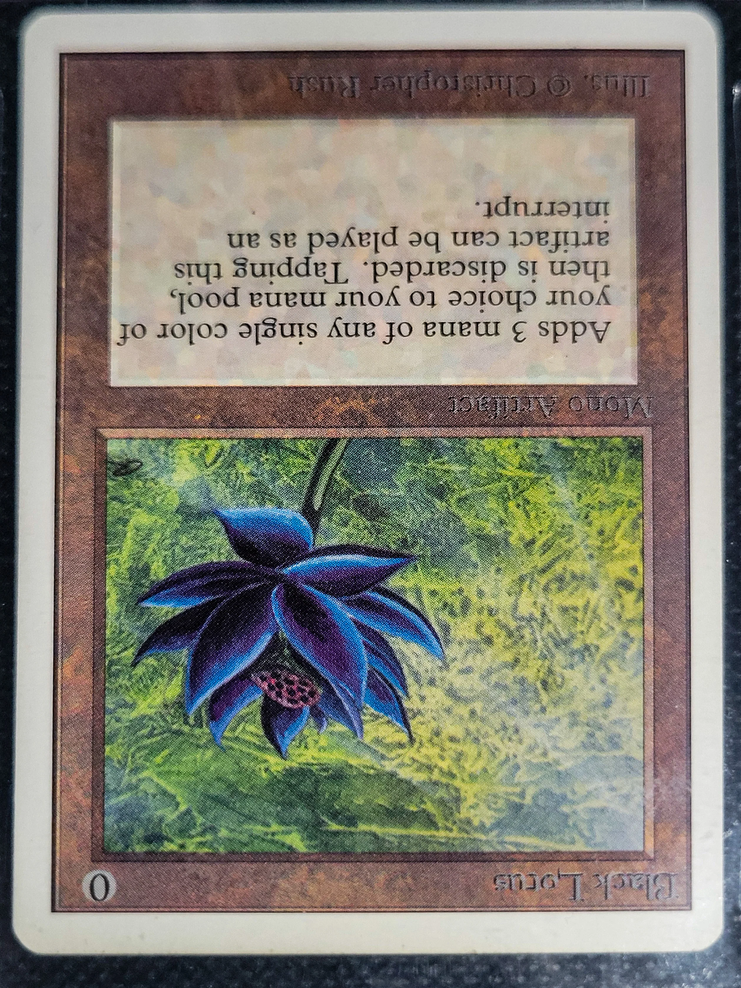 Black Lotus — Beckett 8 — ID 16823 - Image 4