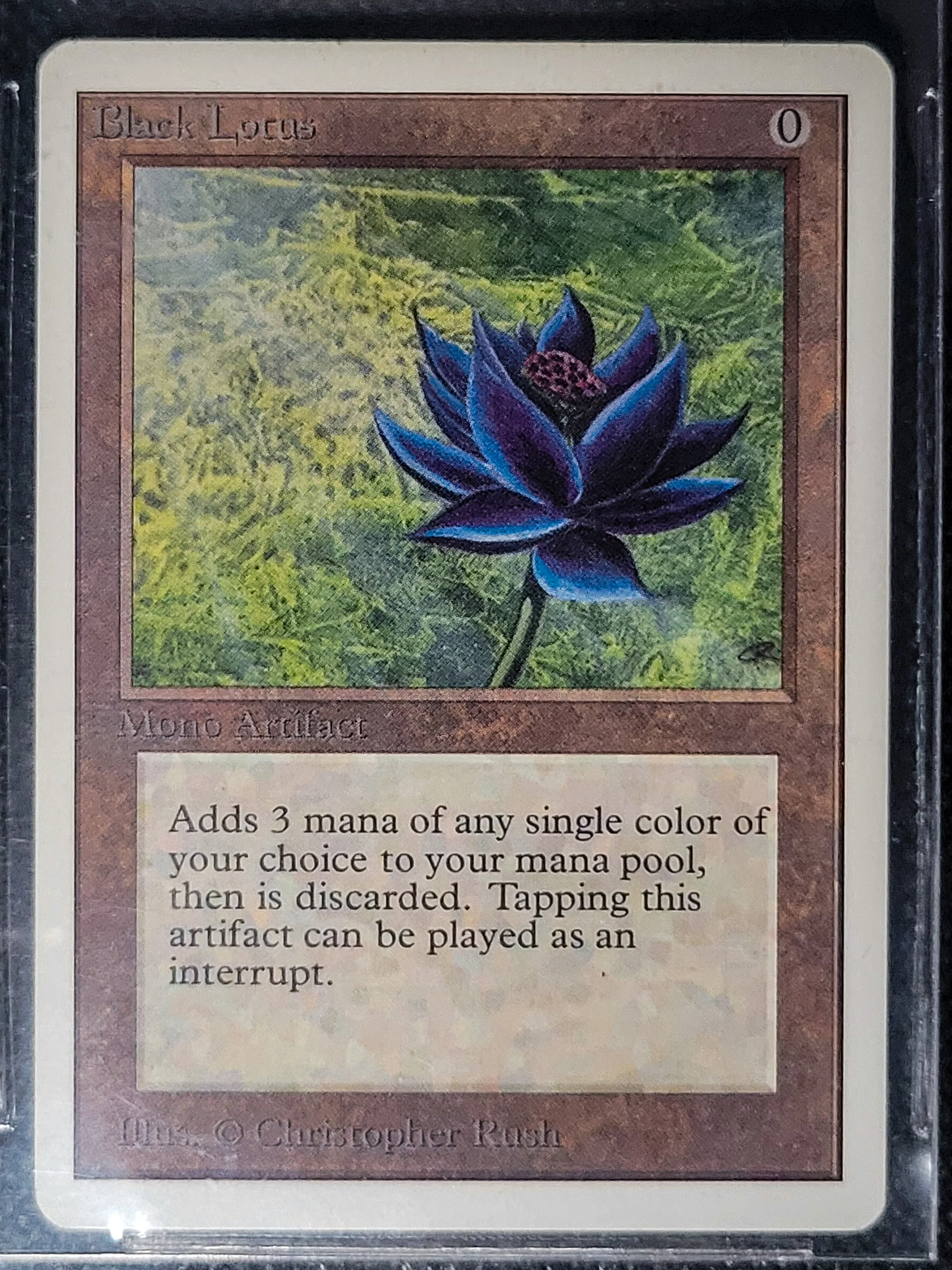 Black Lotus — Beckett 8 — ID 16823 - Image 7