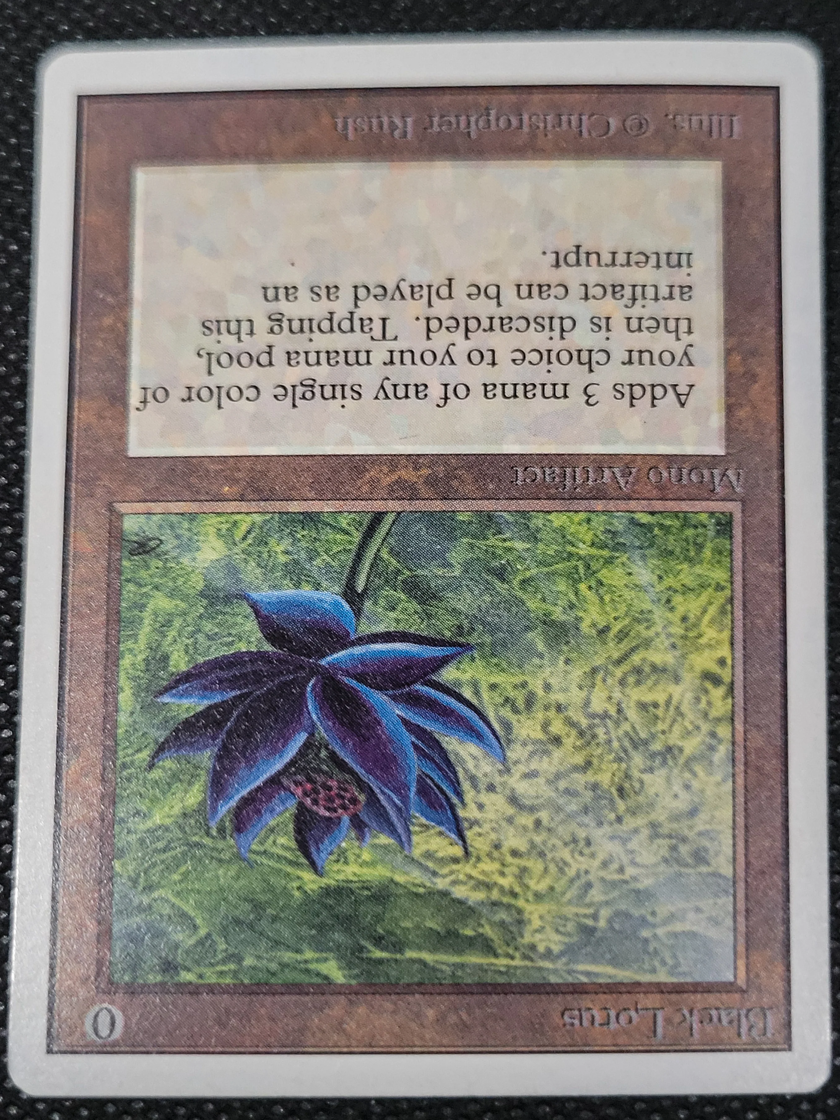 Black Lotus — ID 17009 - Image 4