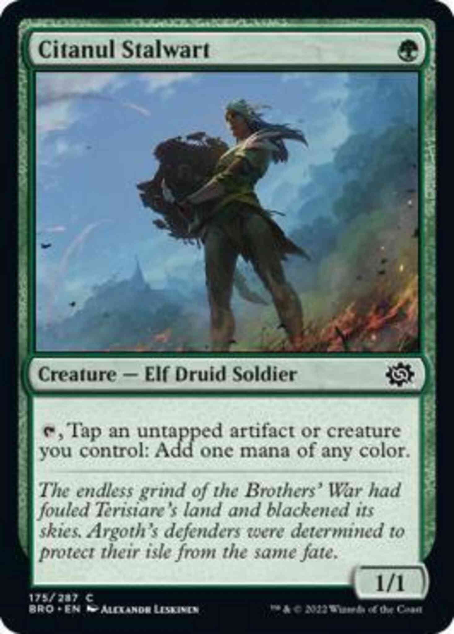 Citanul Stalwart [175] [The Brothers' War] [Non-Foil]