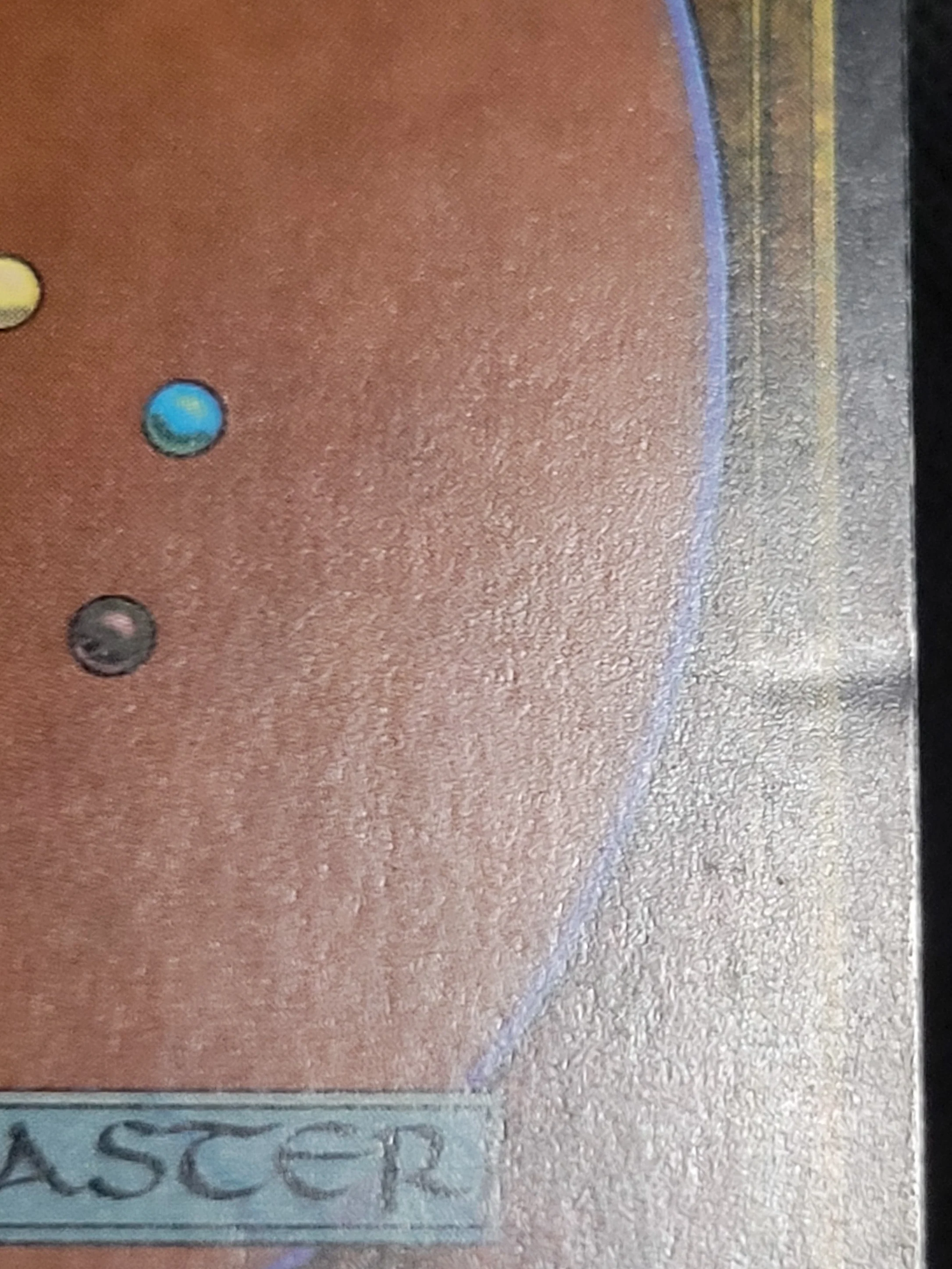 Savannah — ID 17087 - Image 3