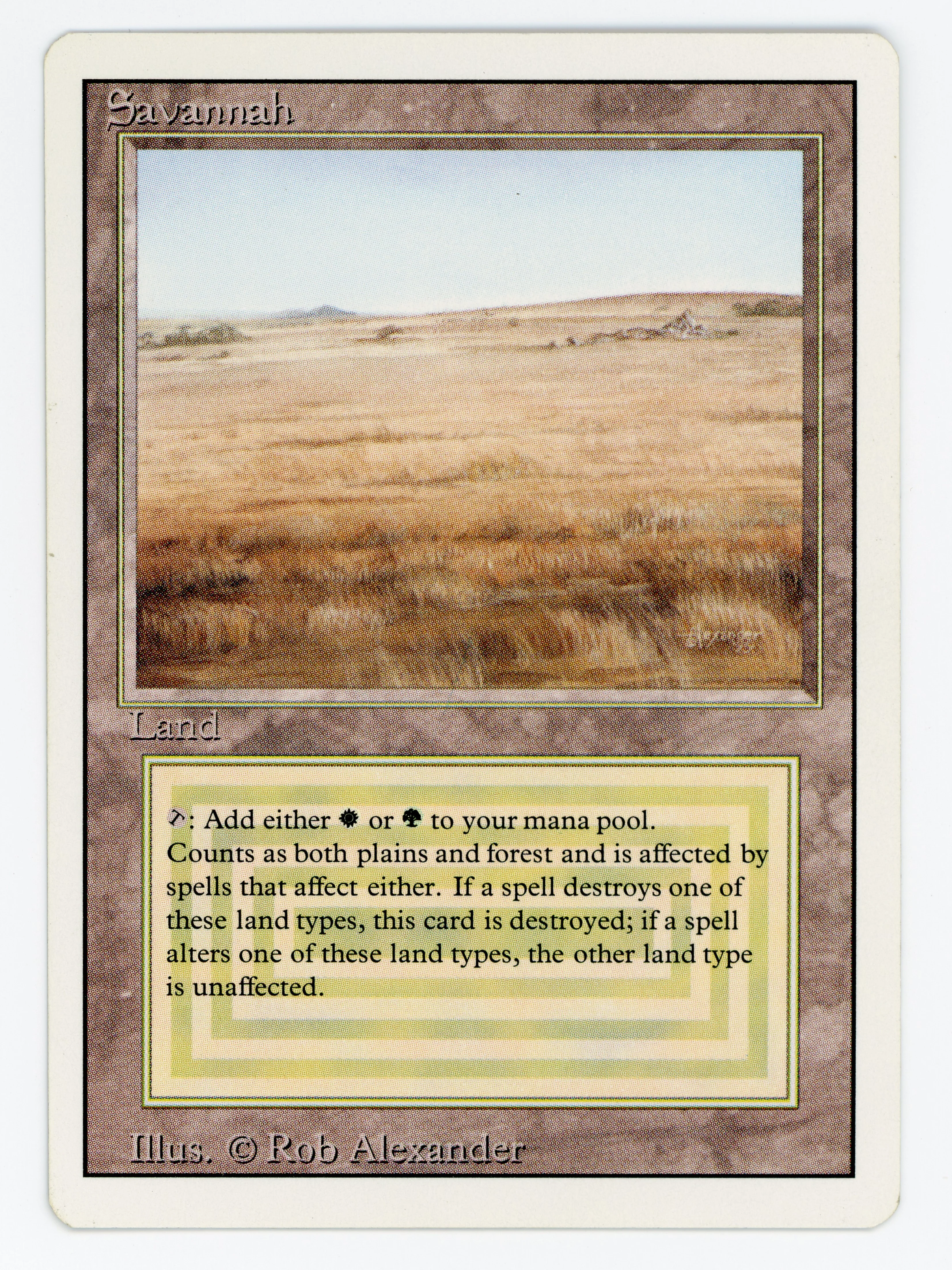 Savannah - Scan 15523