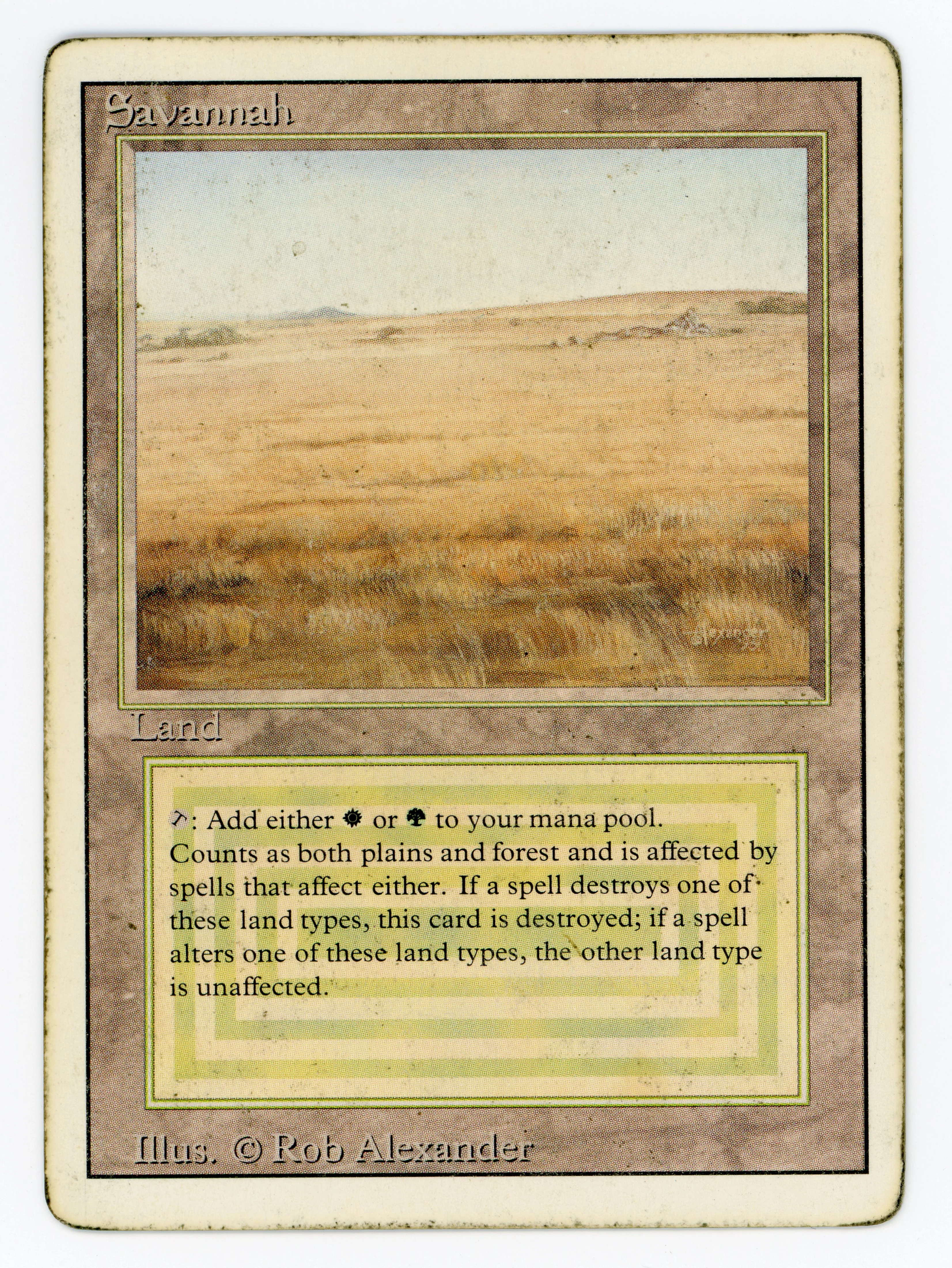 Savannah - Scan 15880