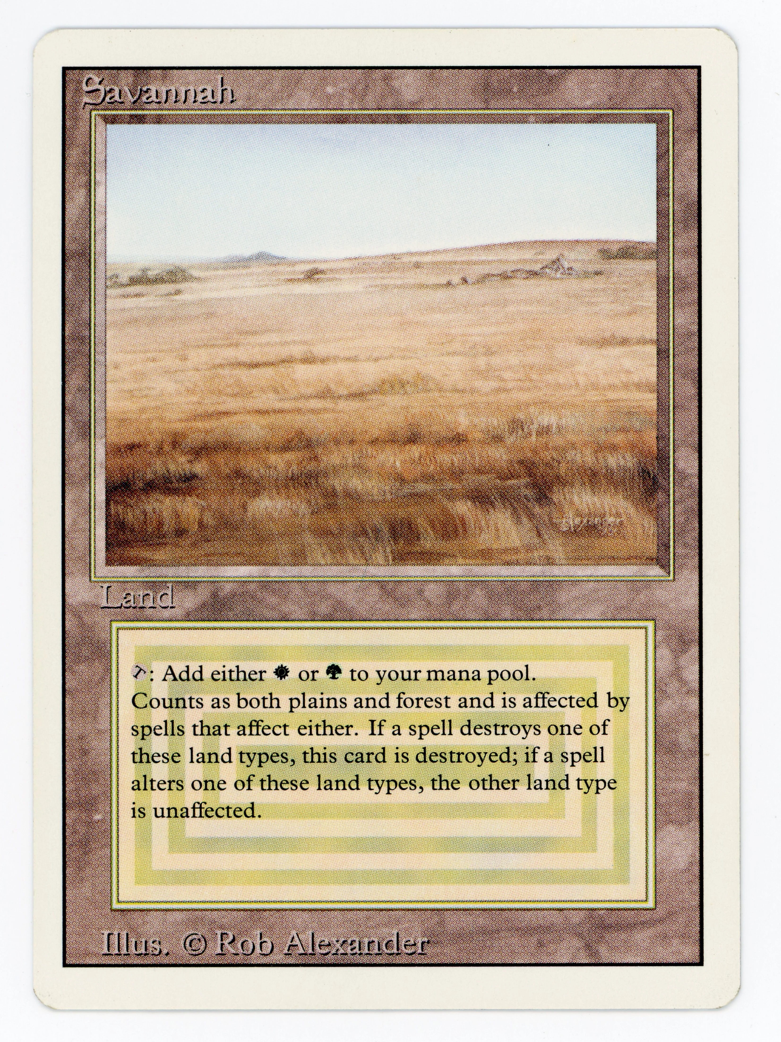 Savannah — Scan 15948