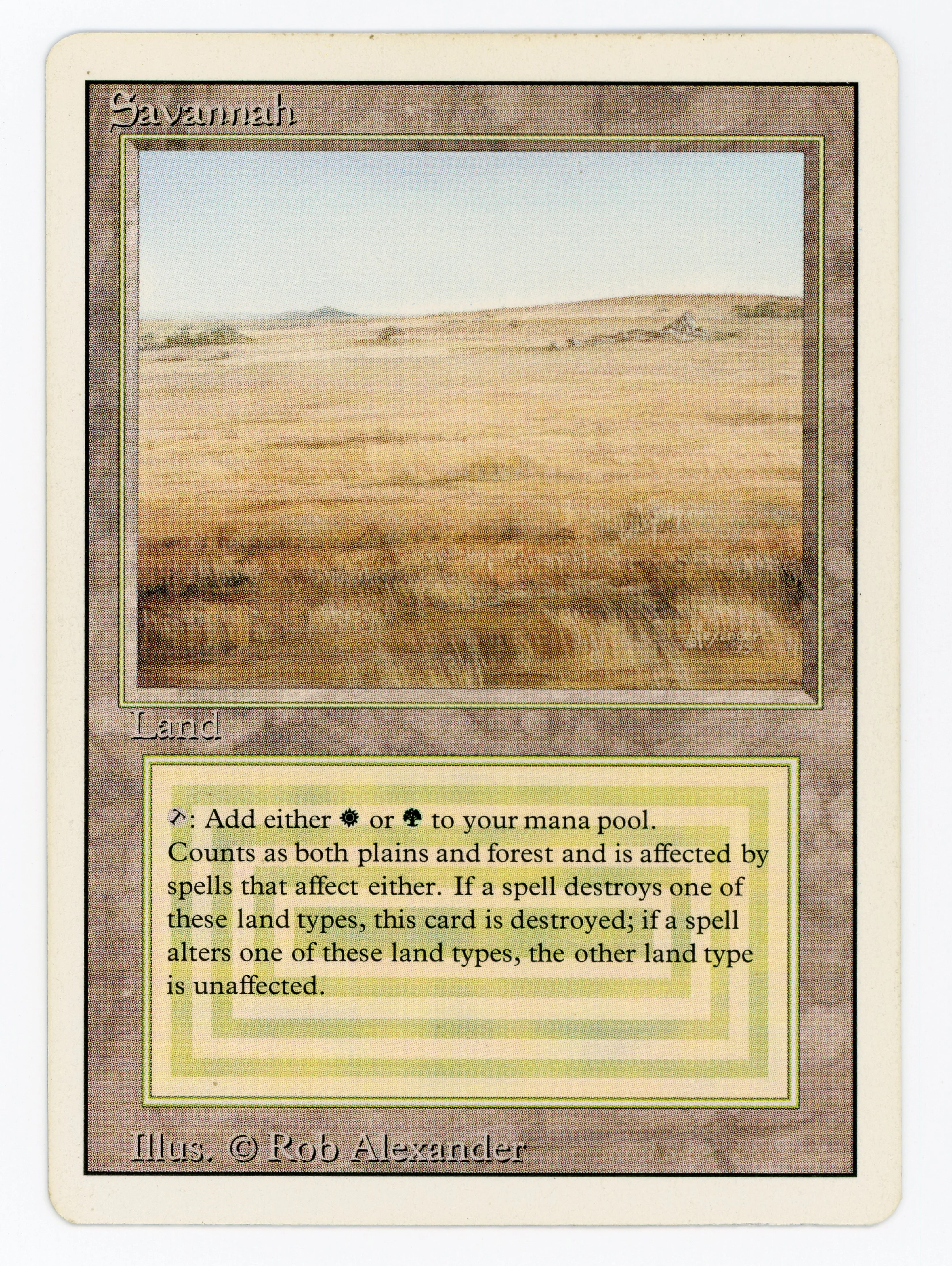 Savannah — Scan 16022
