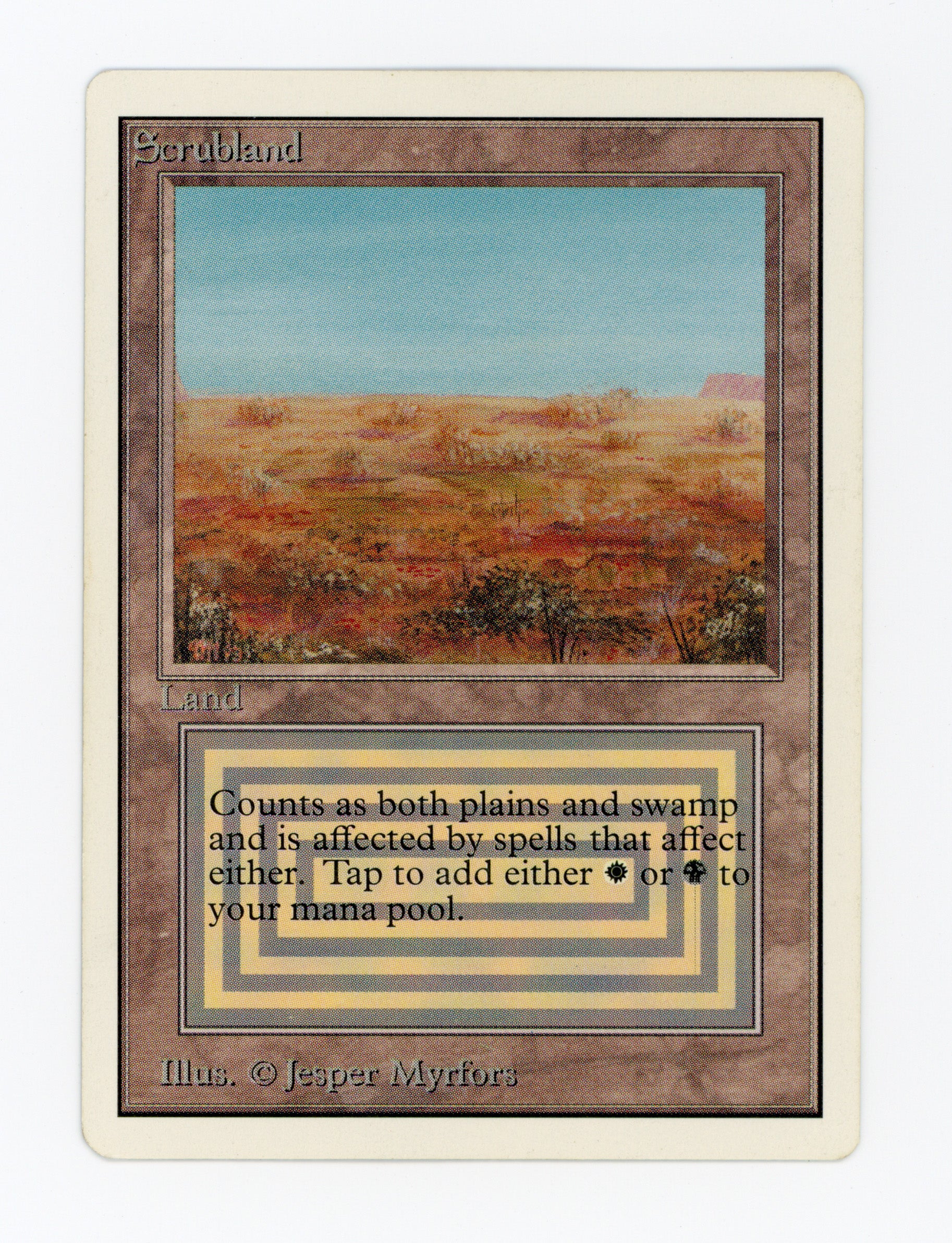 Scrubland — ID 16947