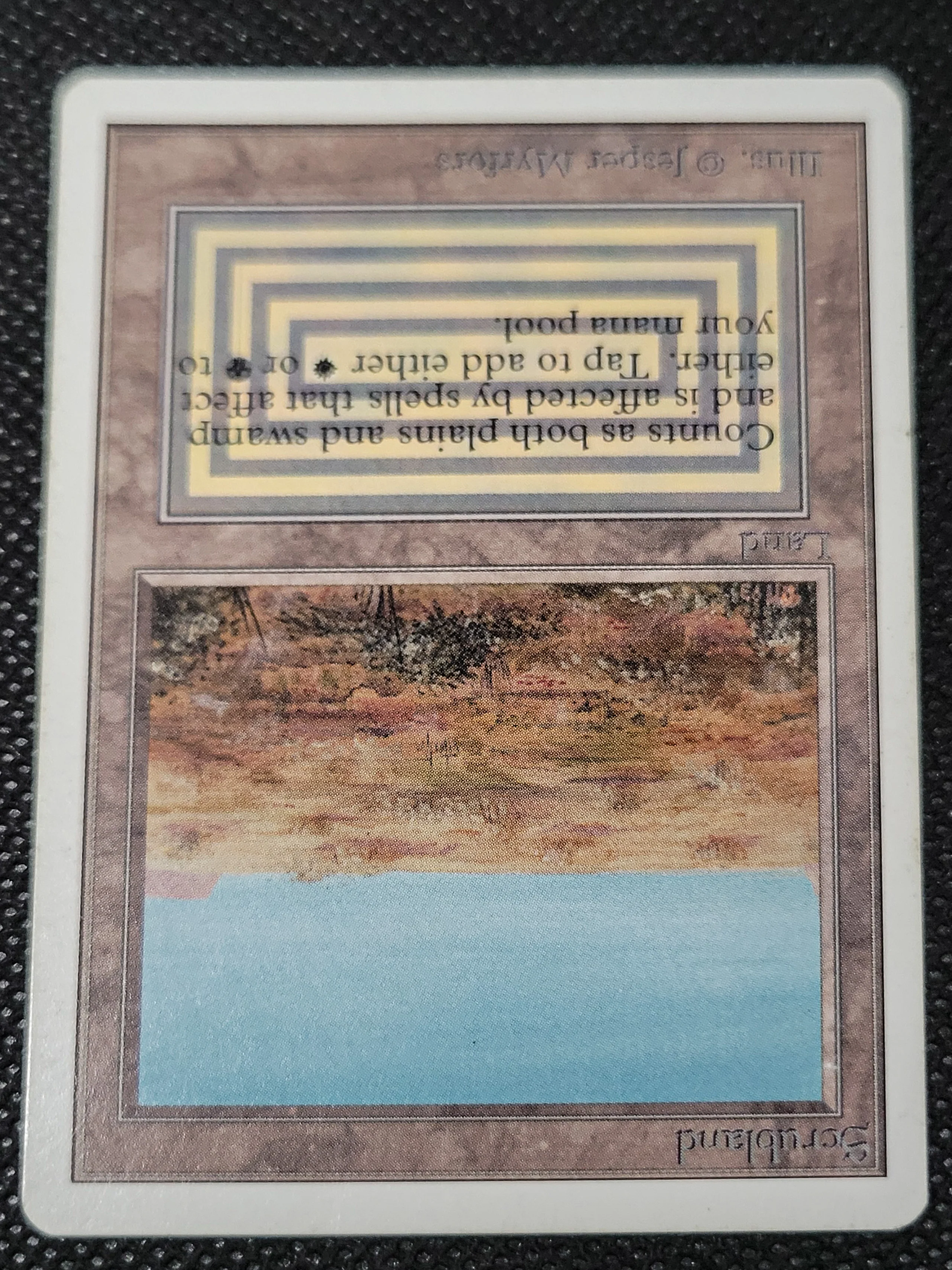 Scrubland — ID 16949 - Image 4