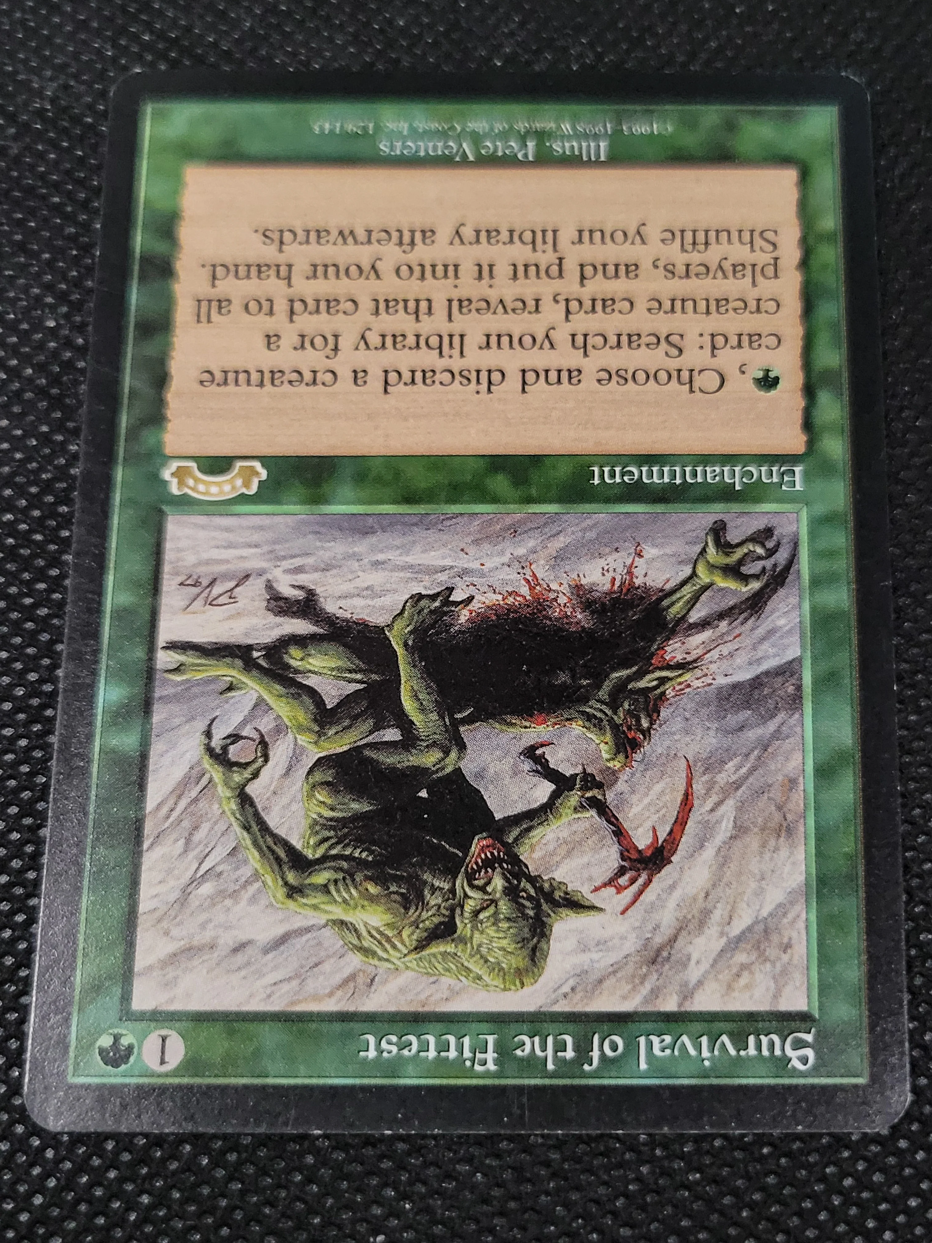 Survival of the Fittest — ID 17058 - Image 4