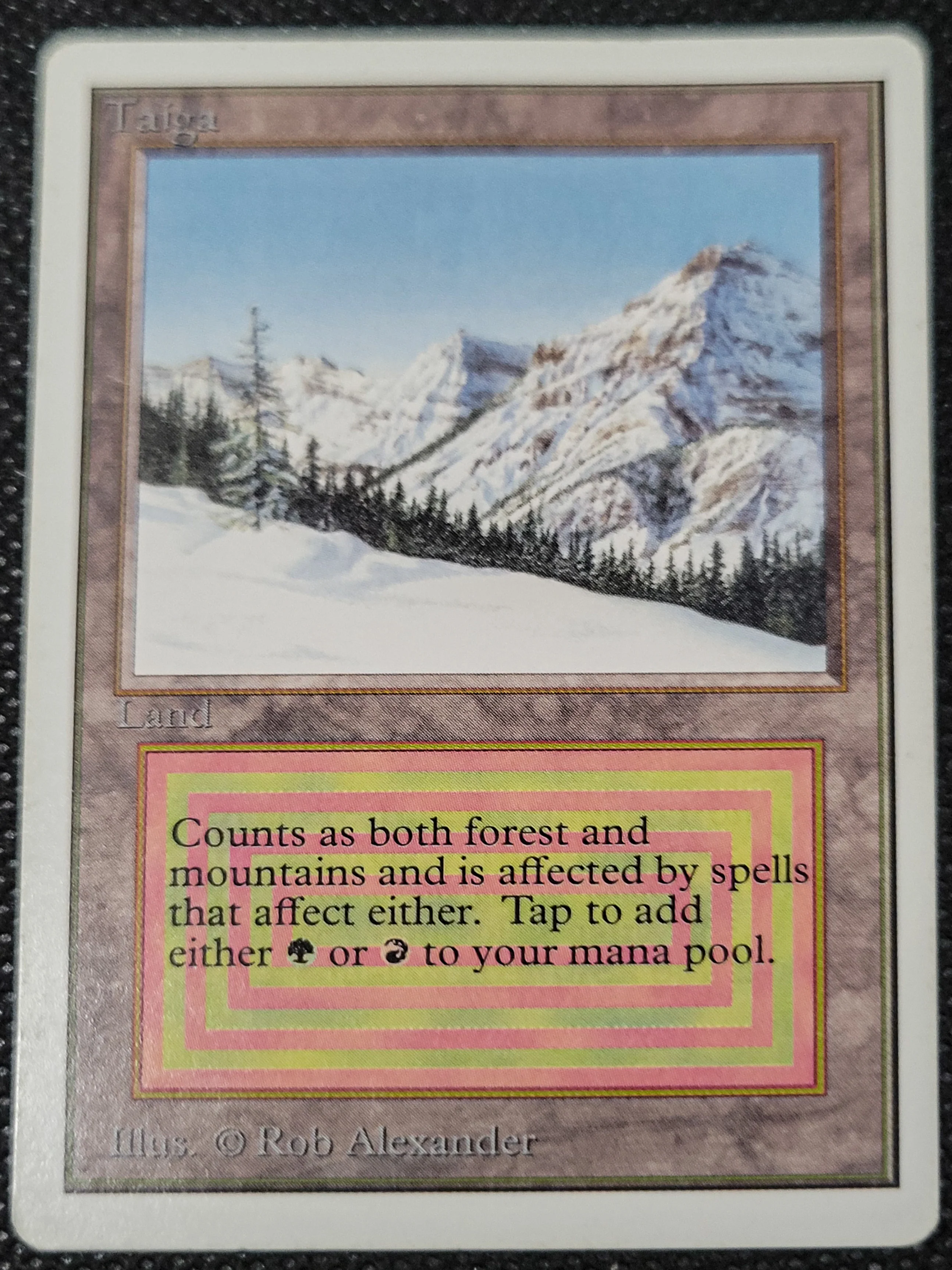 Taiga — Damaged — ID 16959 - Image 3