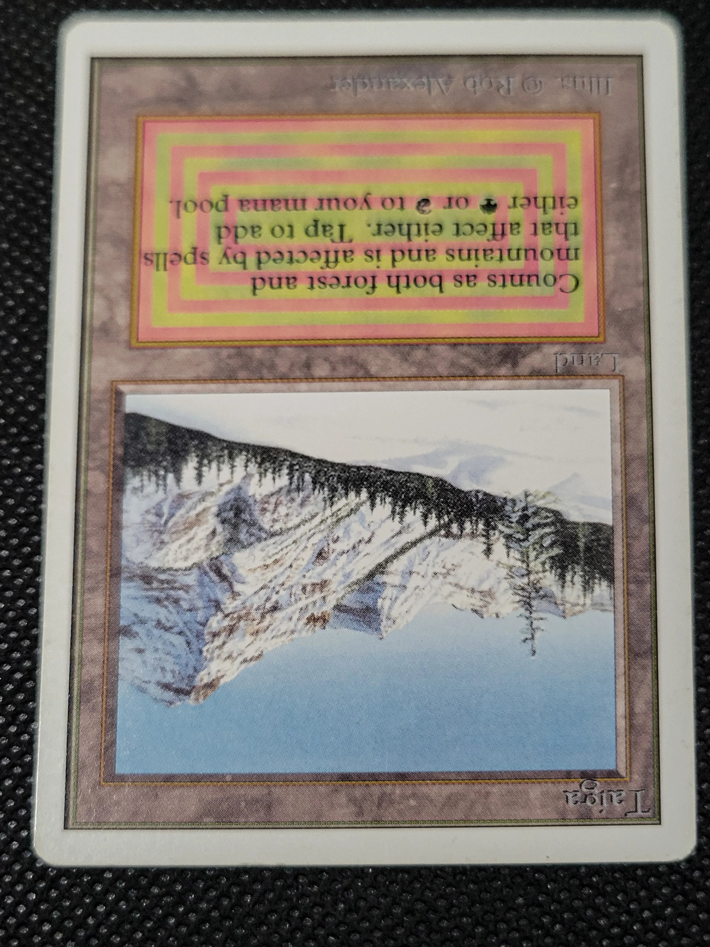 Taiga — Damaged — ID 16959 - Image 4