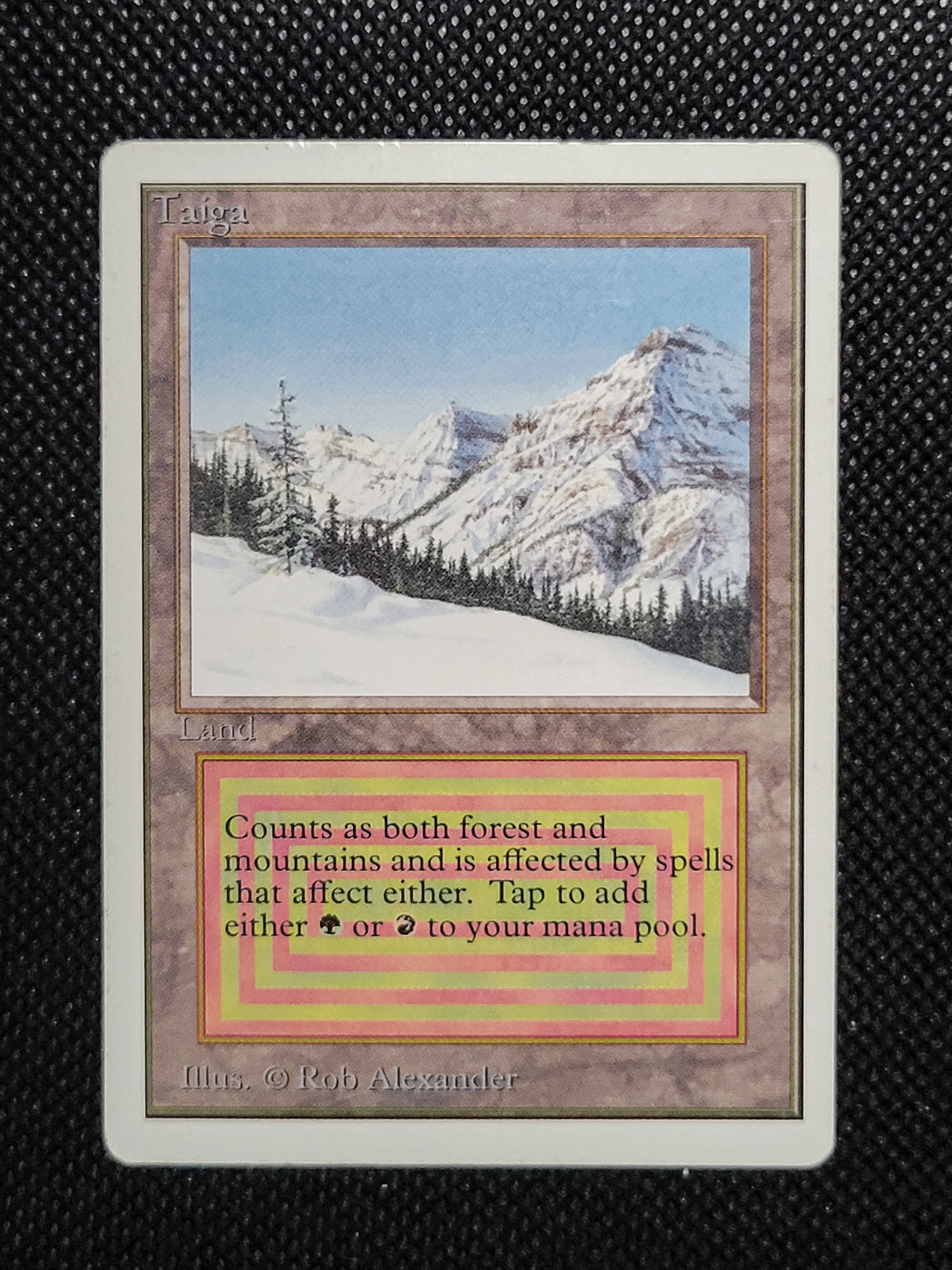 Taiga — Damaged — ID 16959 - Image 7