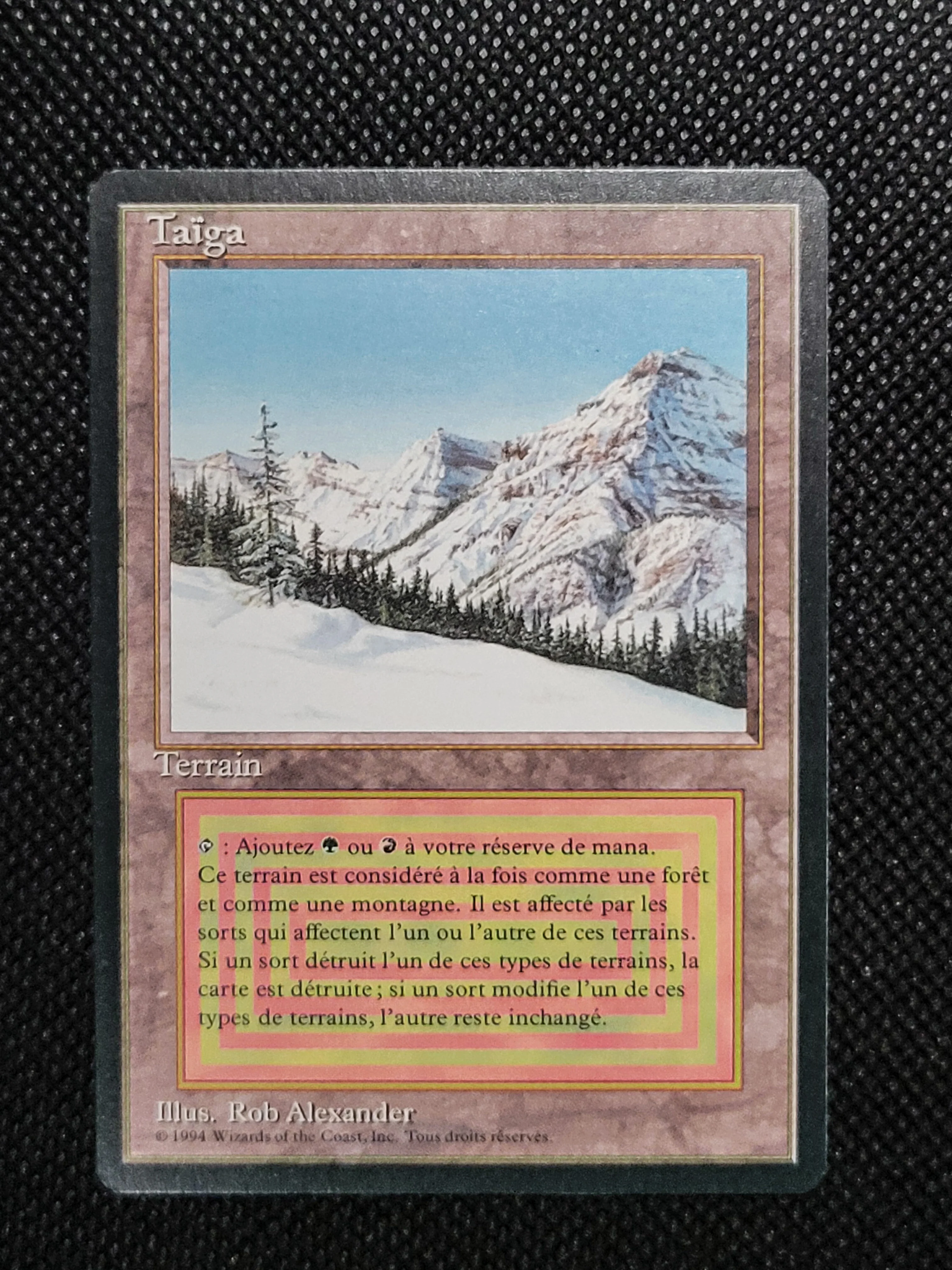 Taiga — French — ID 16963 - Image 3