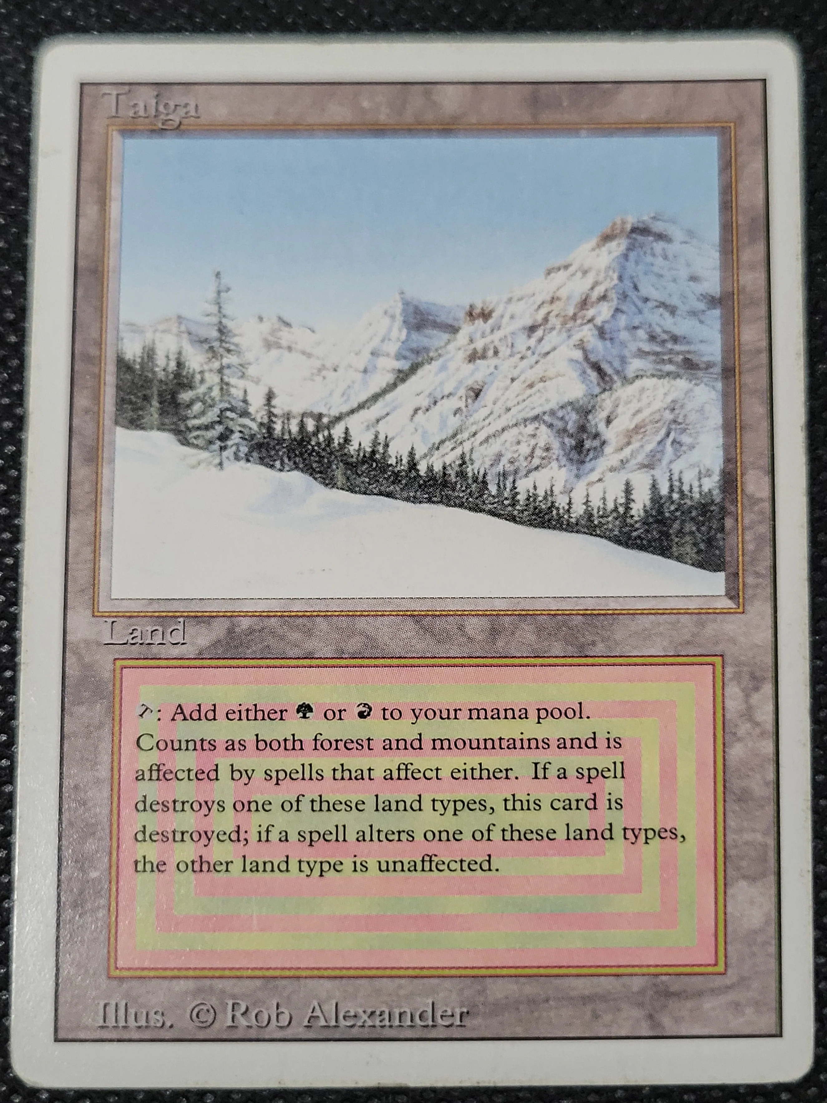 Taiga — ID 16958 - Image 3