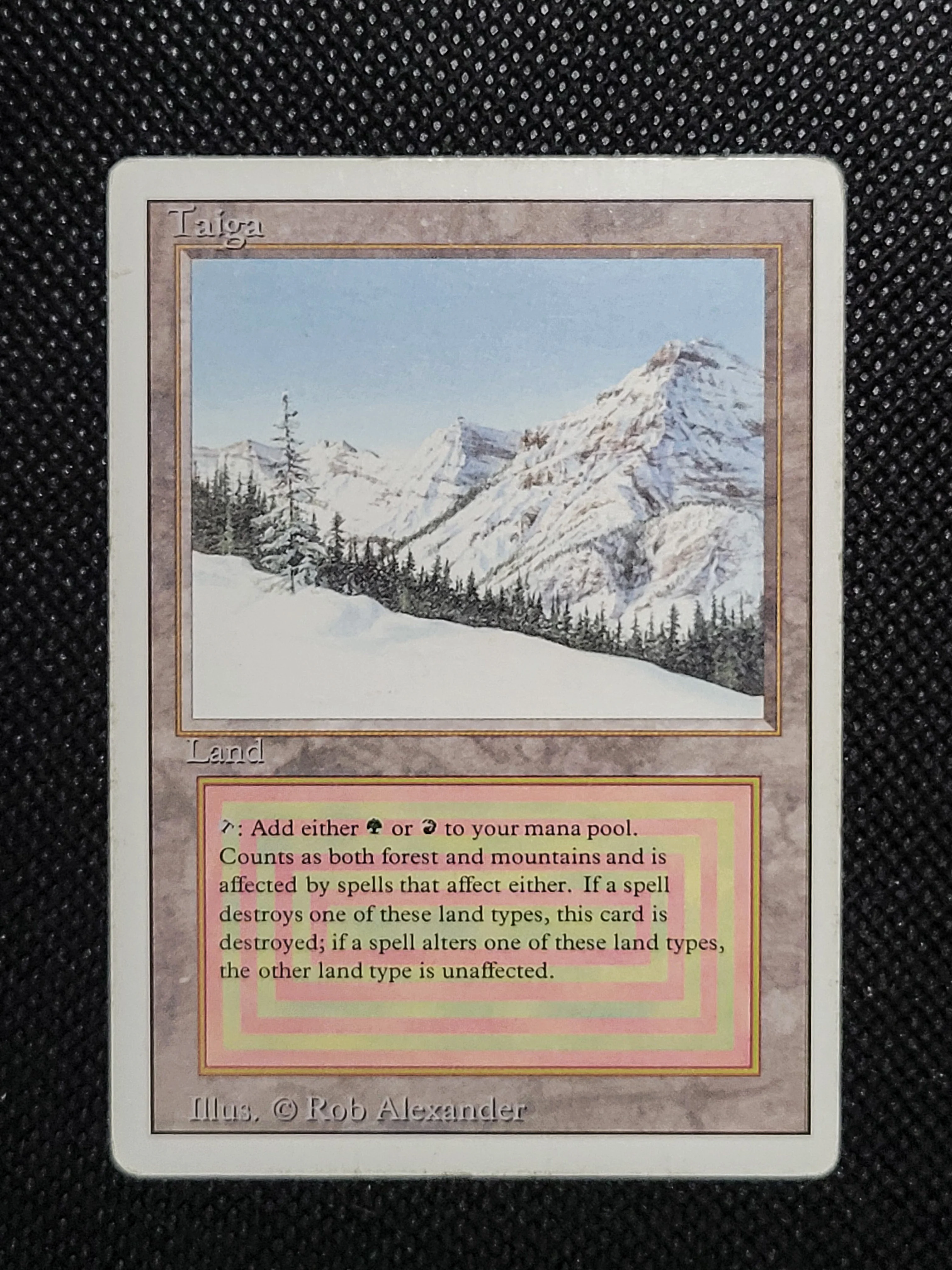 Taiga — ID 16958 - Image 7