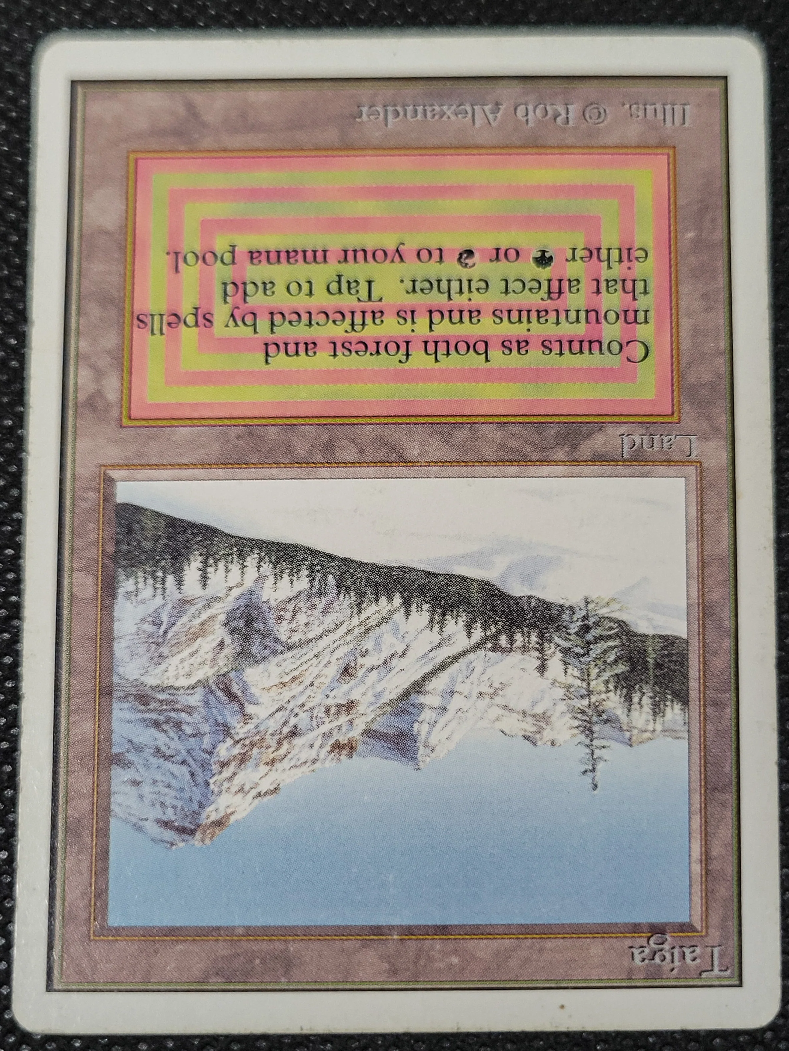 Taiga — ID 16961 - Image 4