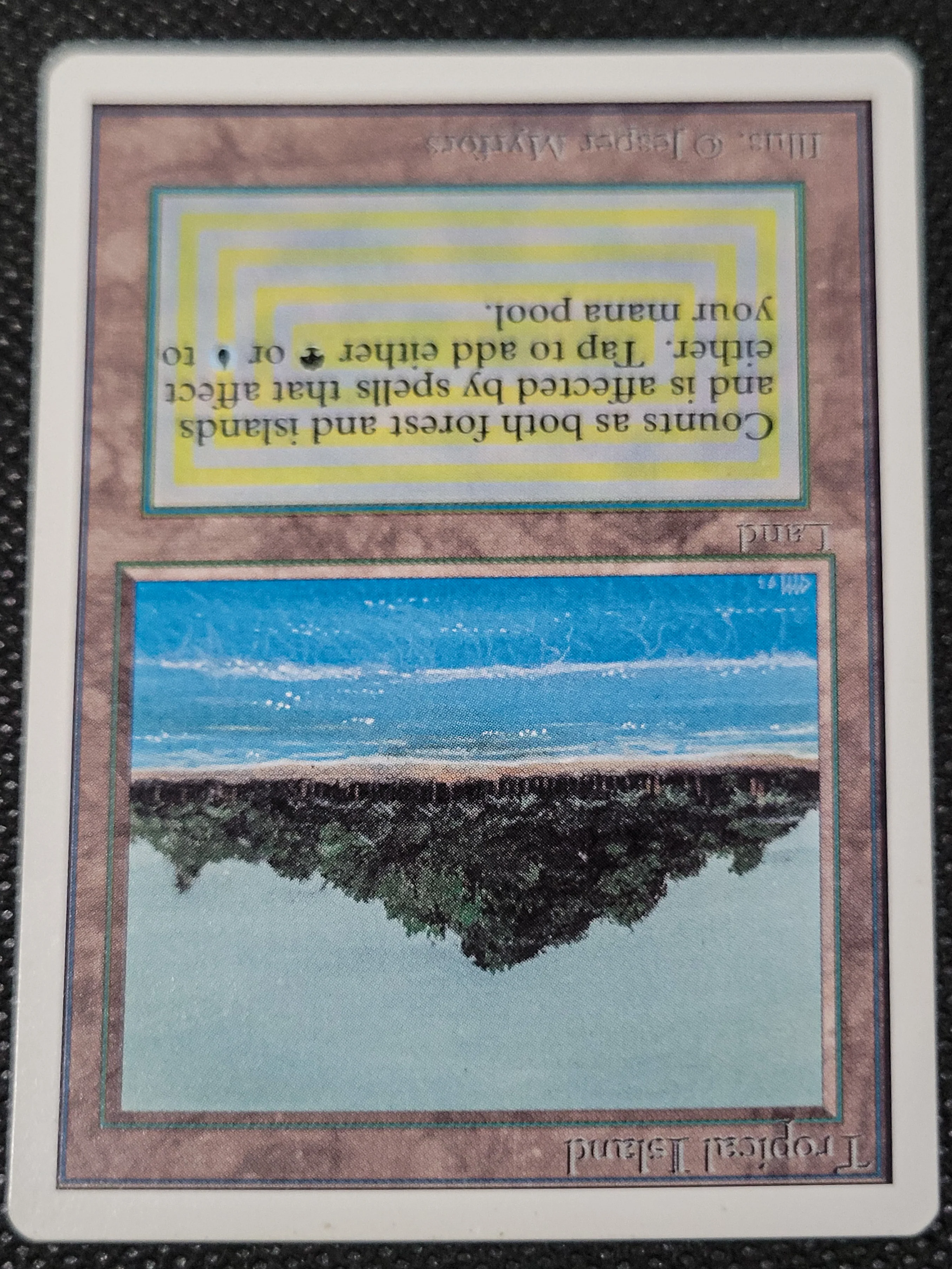 Tropical Island — Damaged — ID 16970 - Image 4