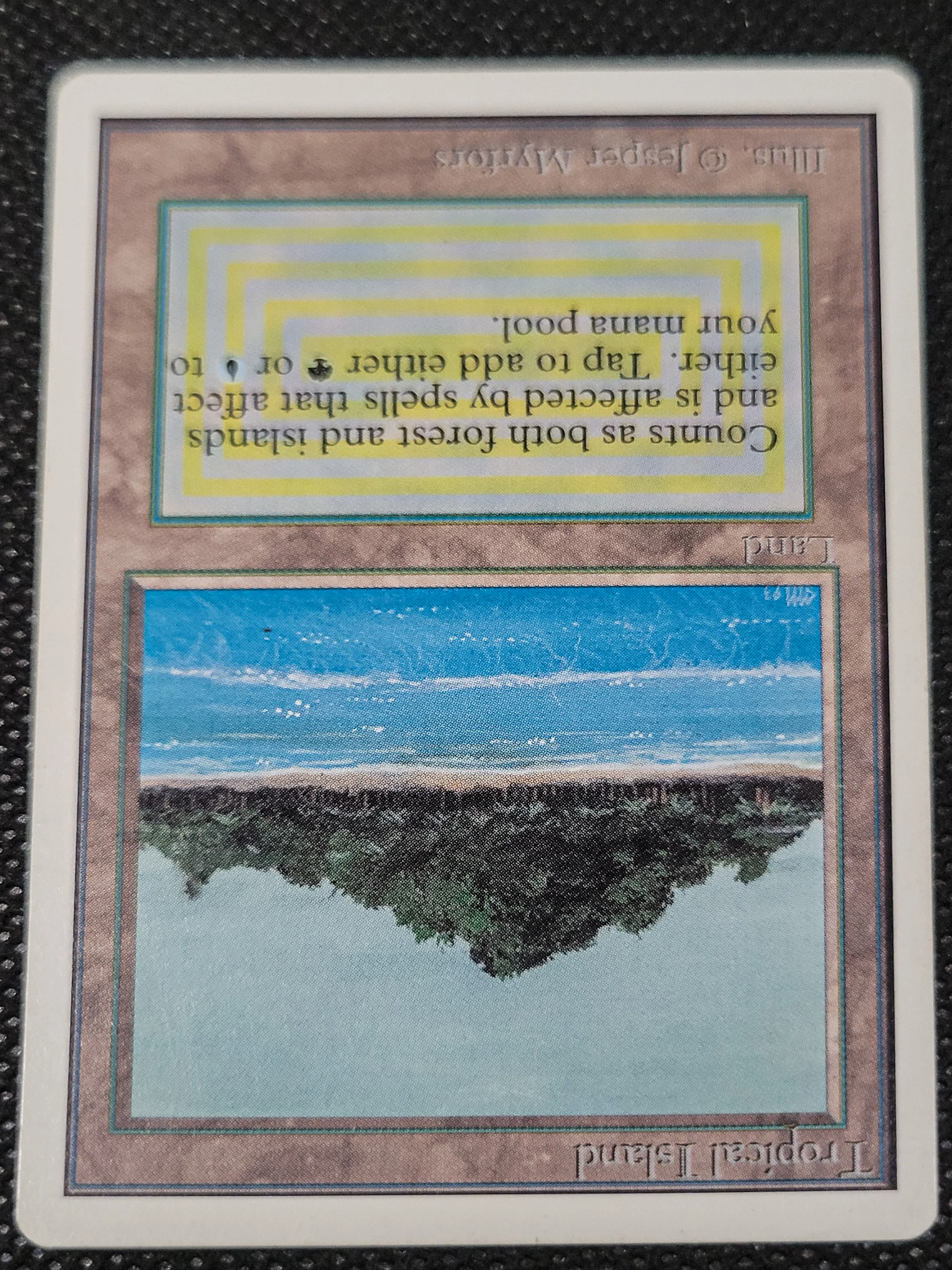 Tropical Island — Damaged — ID 16972 - Image 4