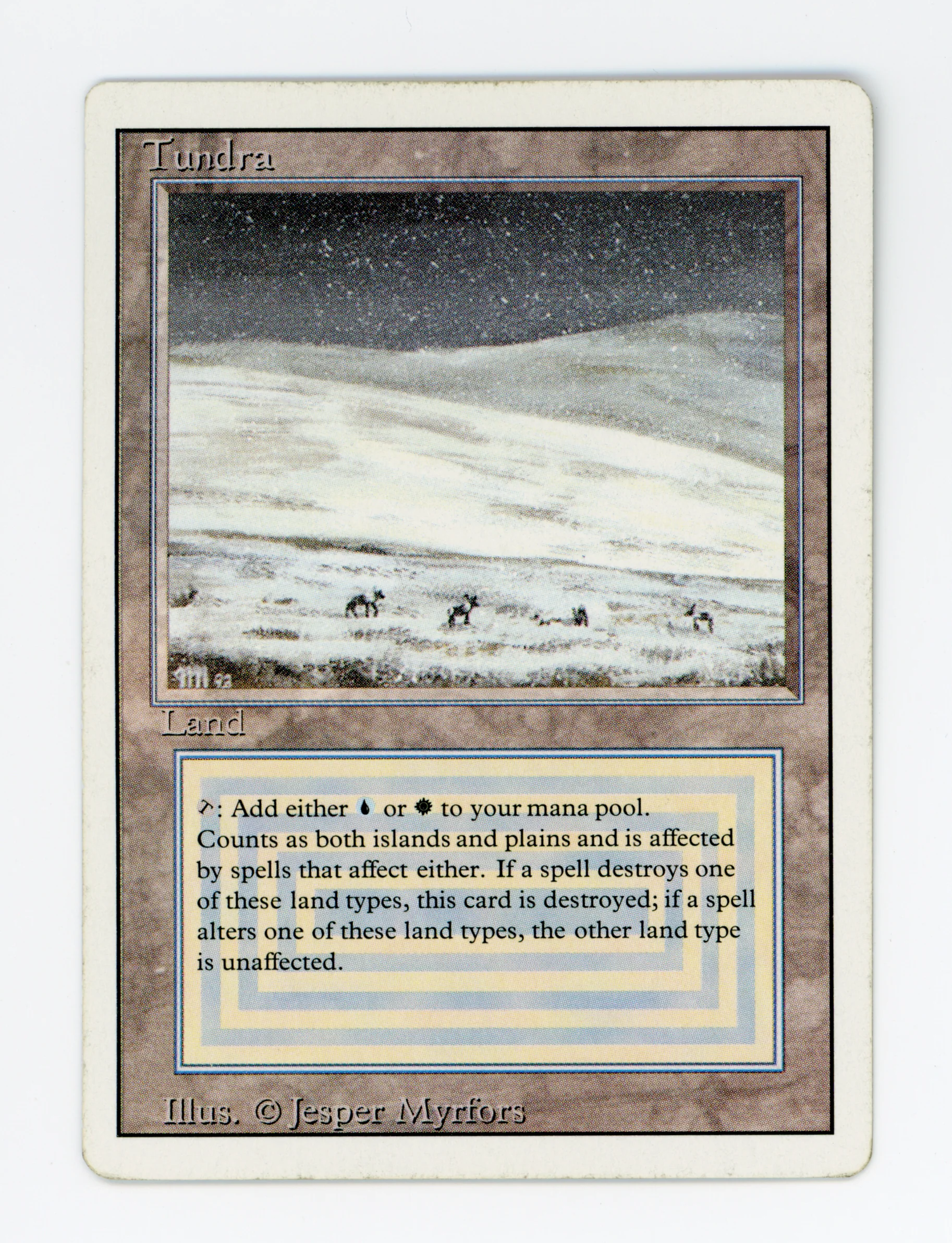 Tundra — ID 16343
