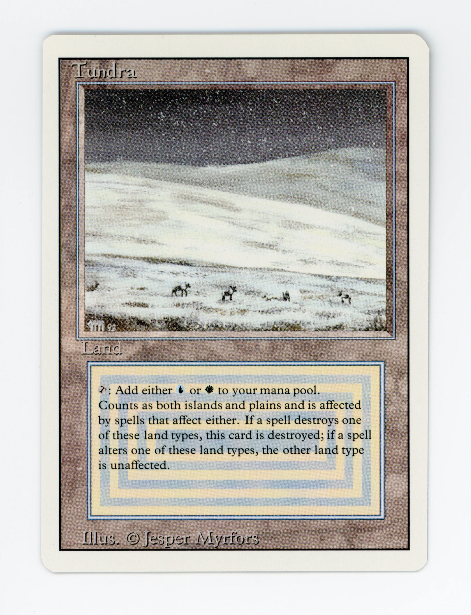 Tundra — ID 16434
