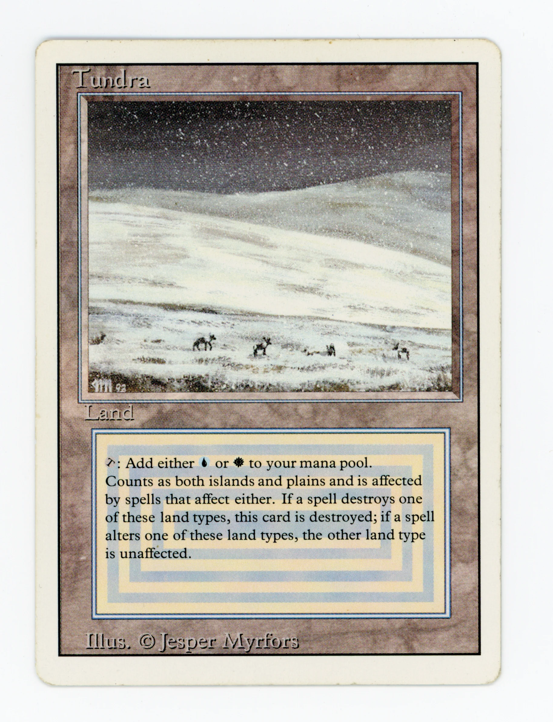 Tundra — ID 16517