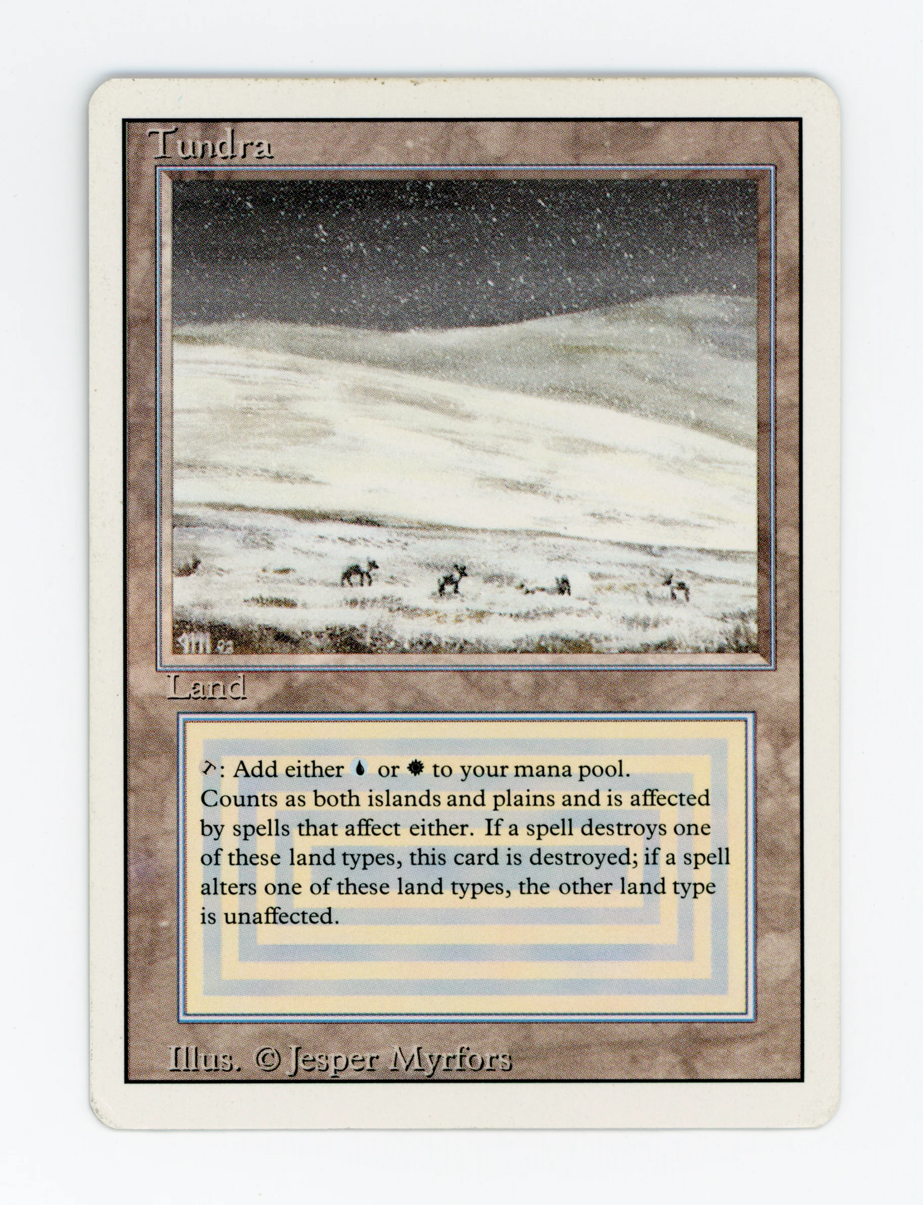 Tundra — ID 16784