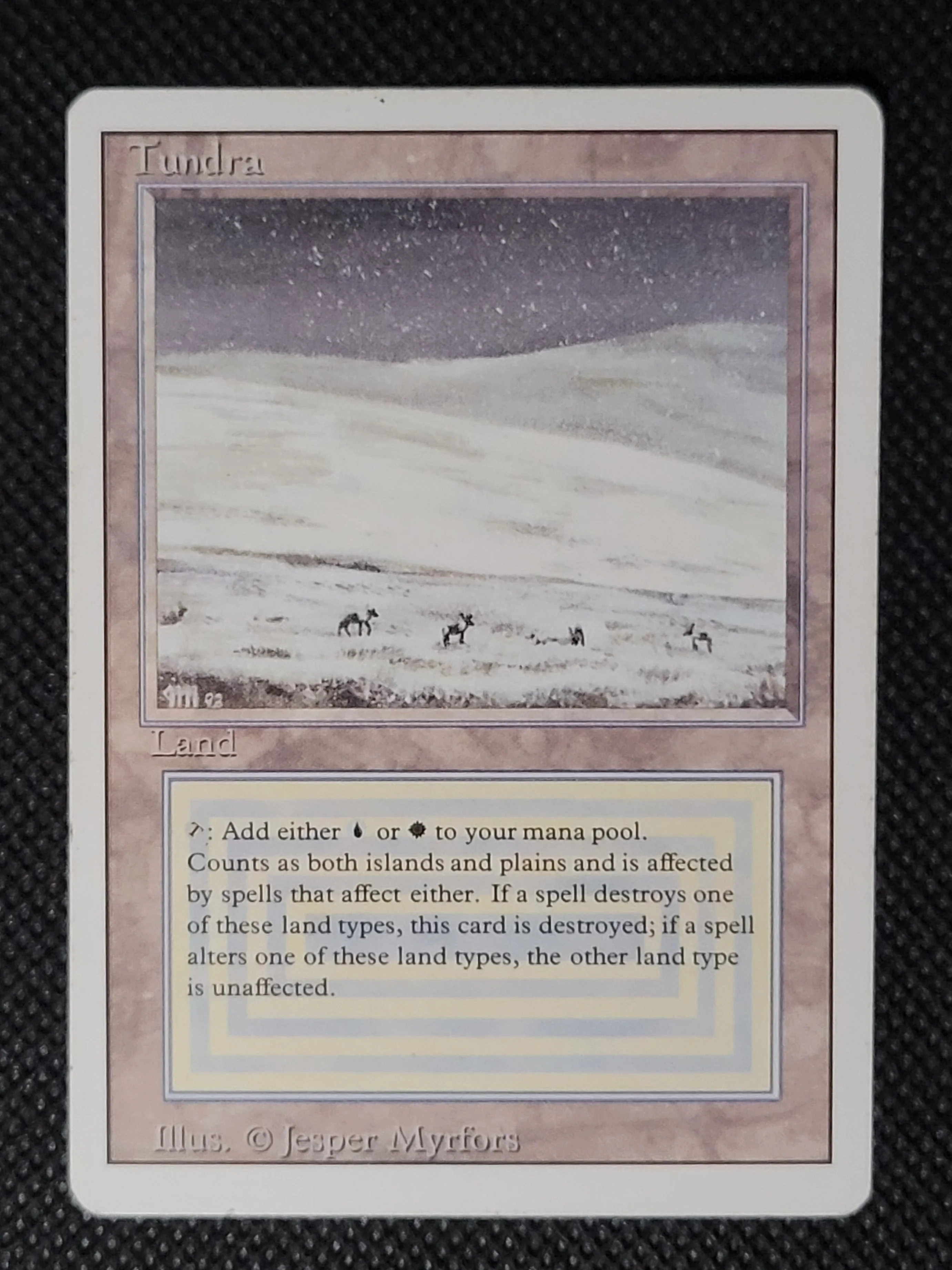 Tundra — ID 16868 - Image 3