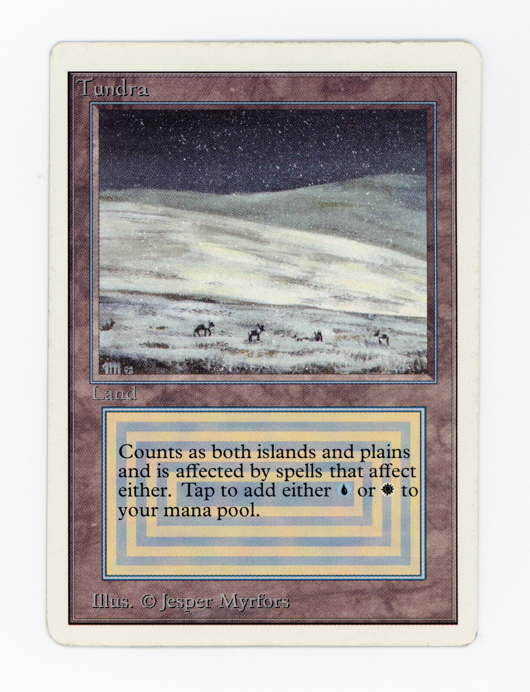 Tundra — ID 16975