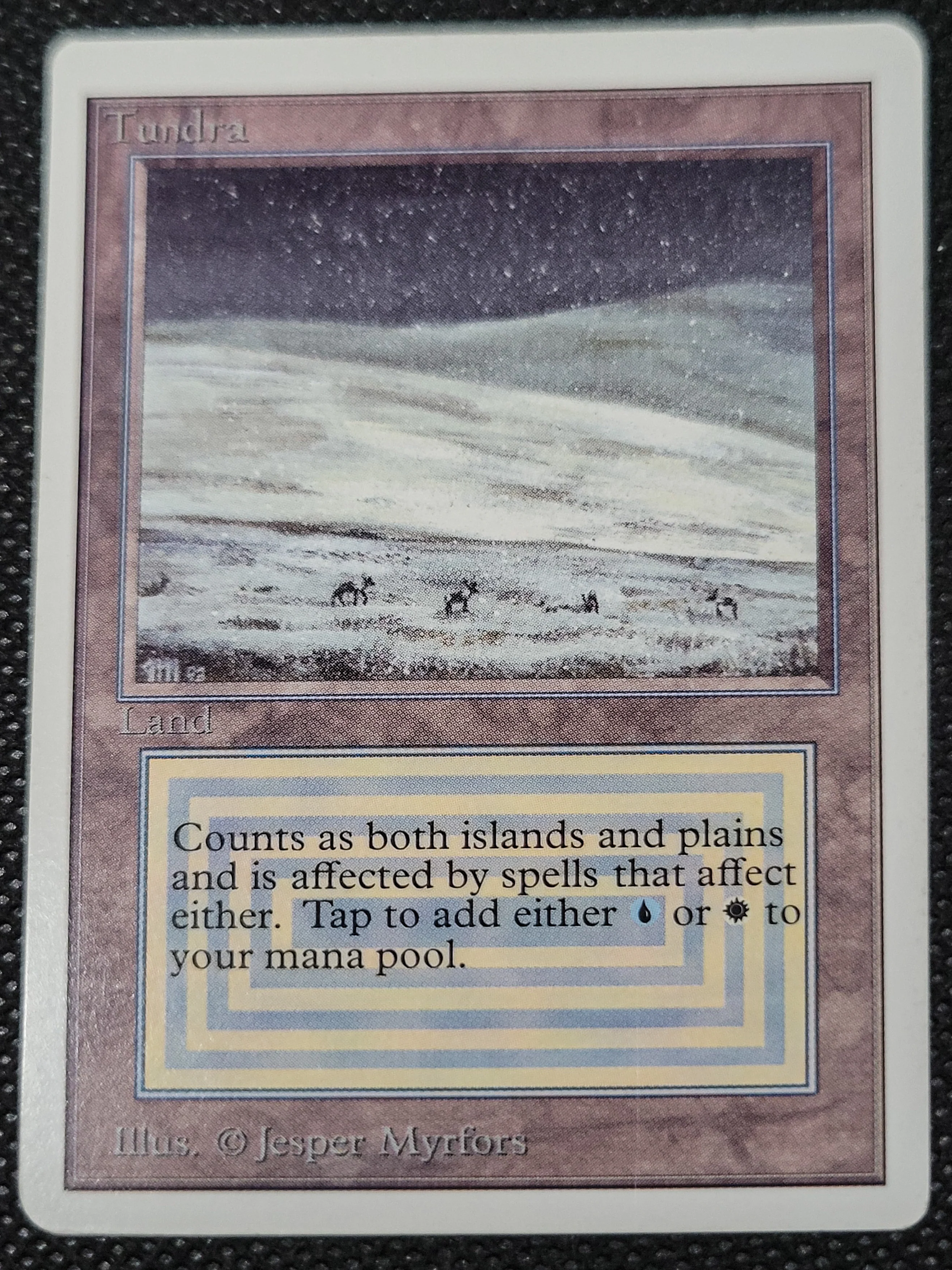 Tundra — ID 16975 - Image 3