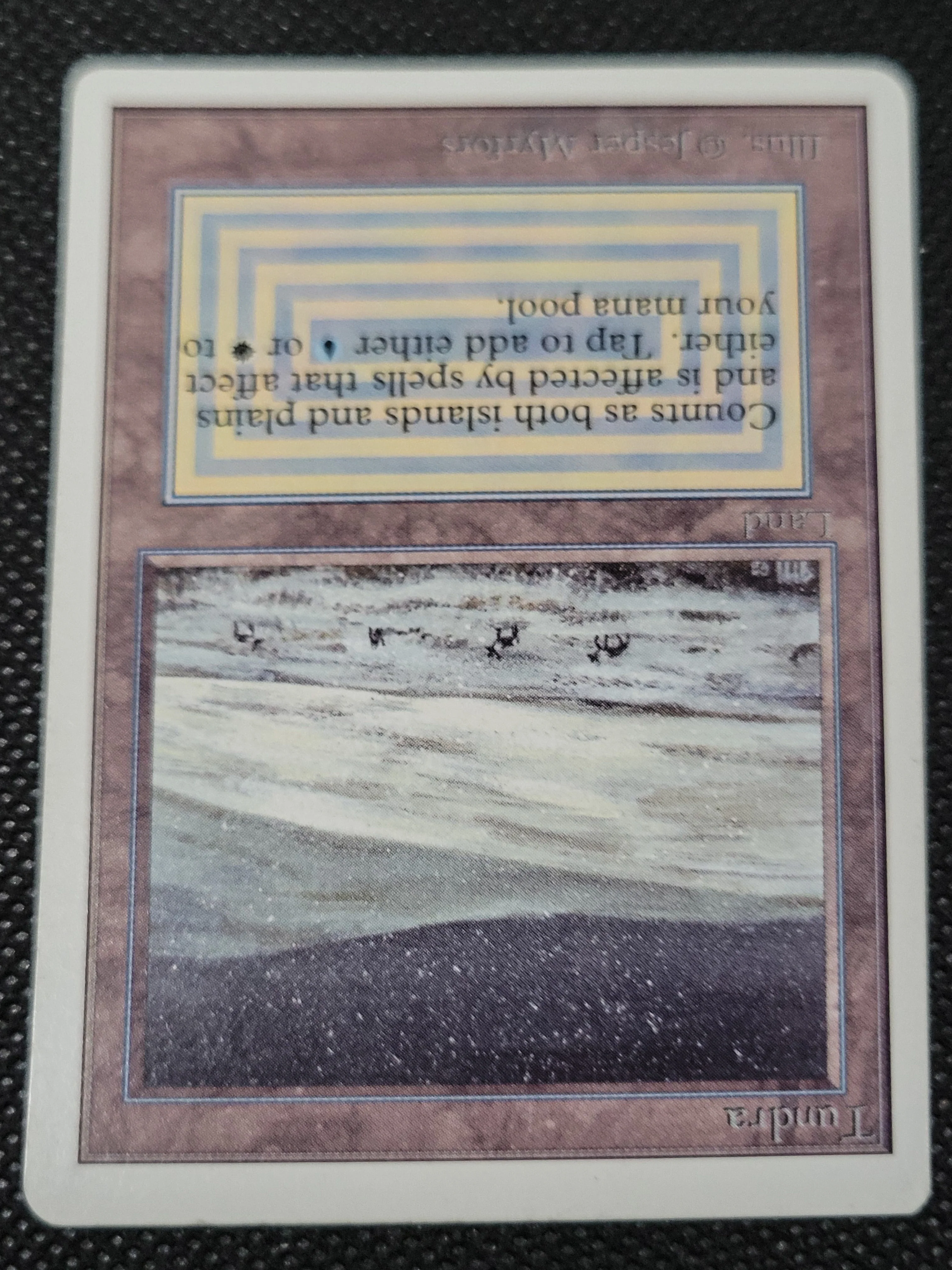 Tundra — ID 16975 - Image 4