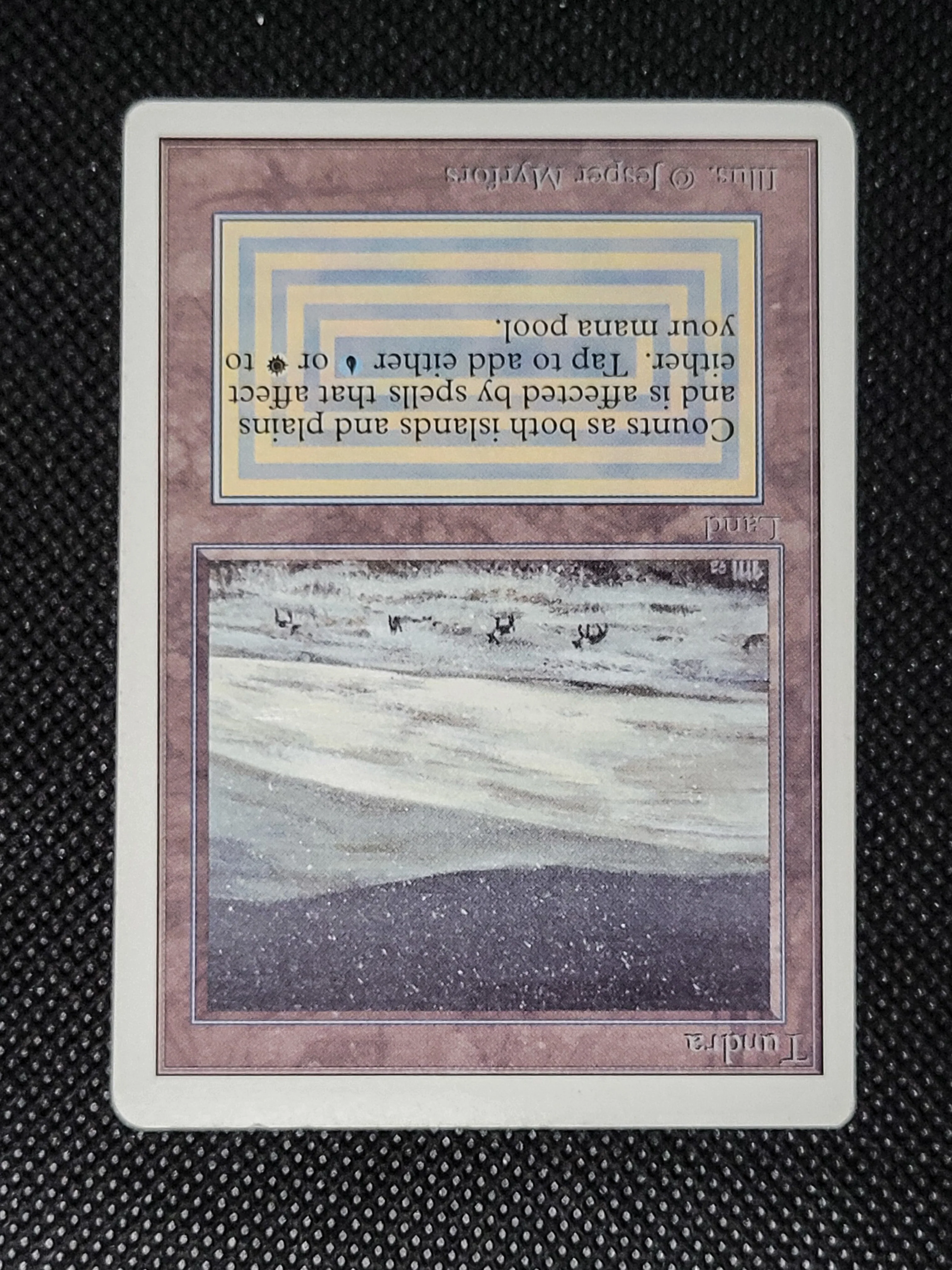 Tundra — ID 16975 - Image 7