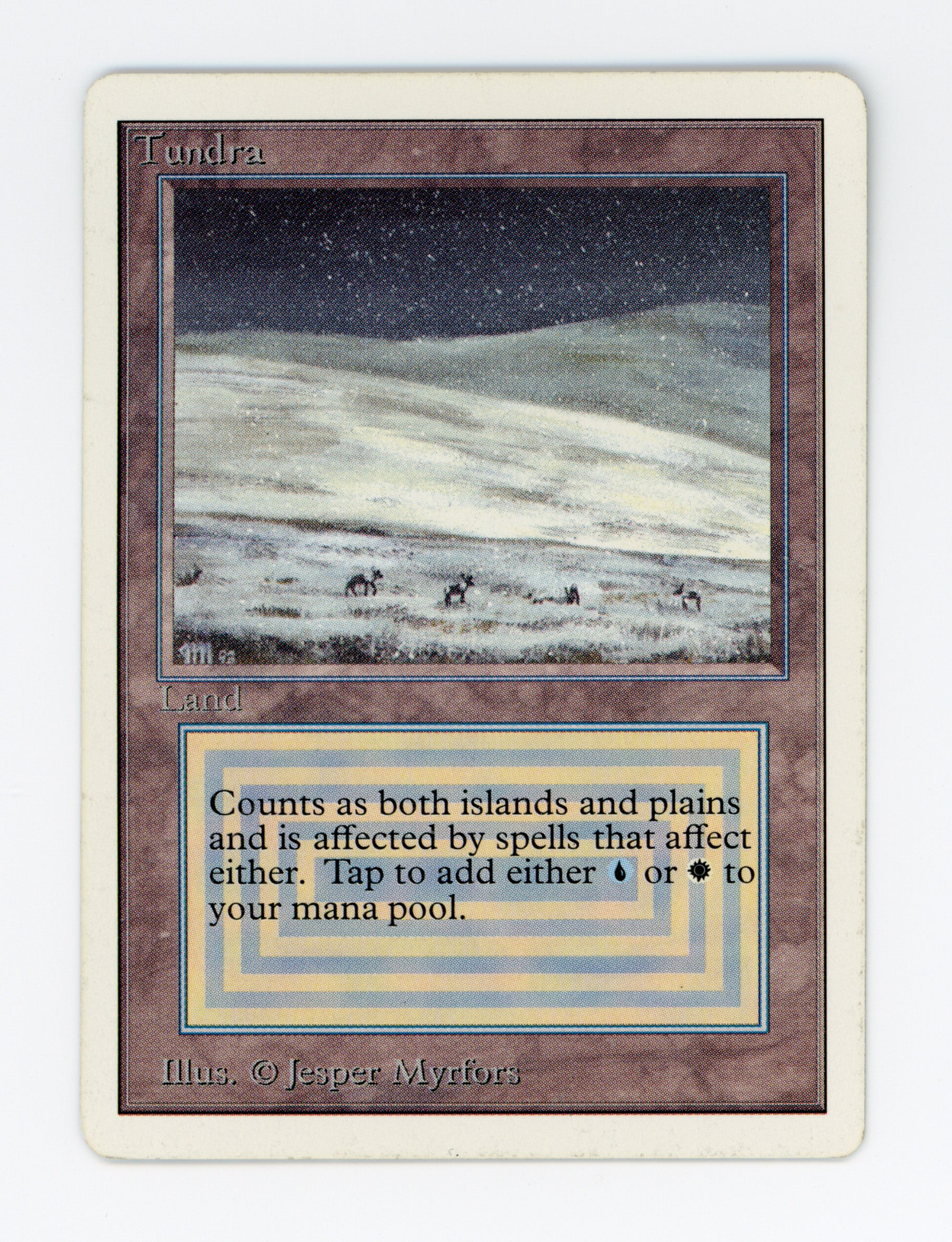 Tundra — ID 16976