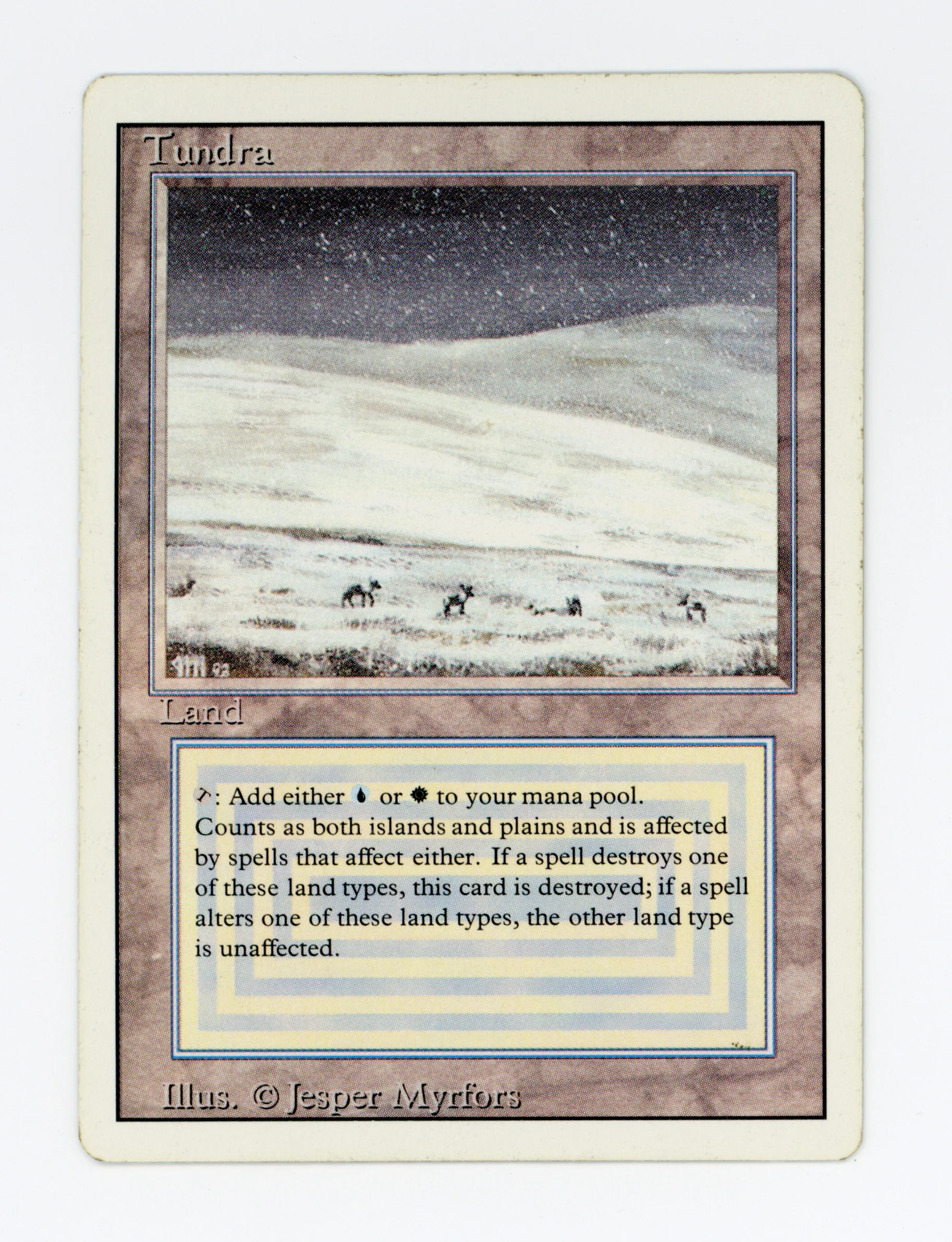 Tundra — ID 17095
