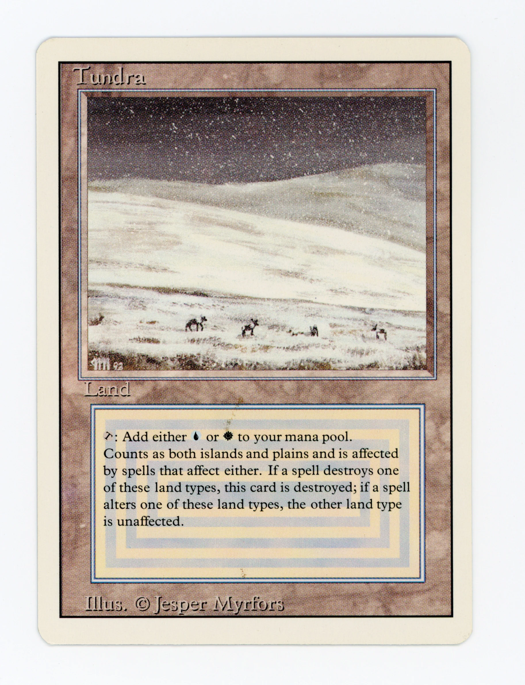 Tundra — ID 17407