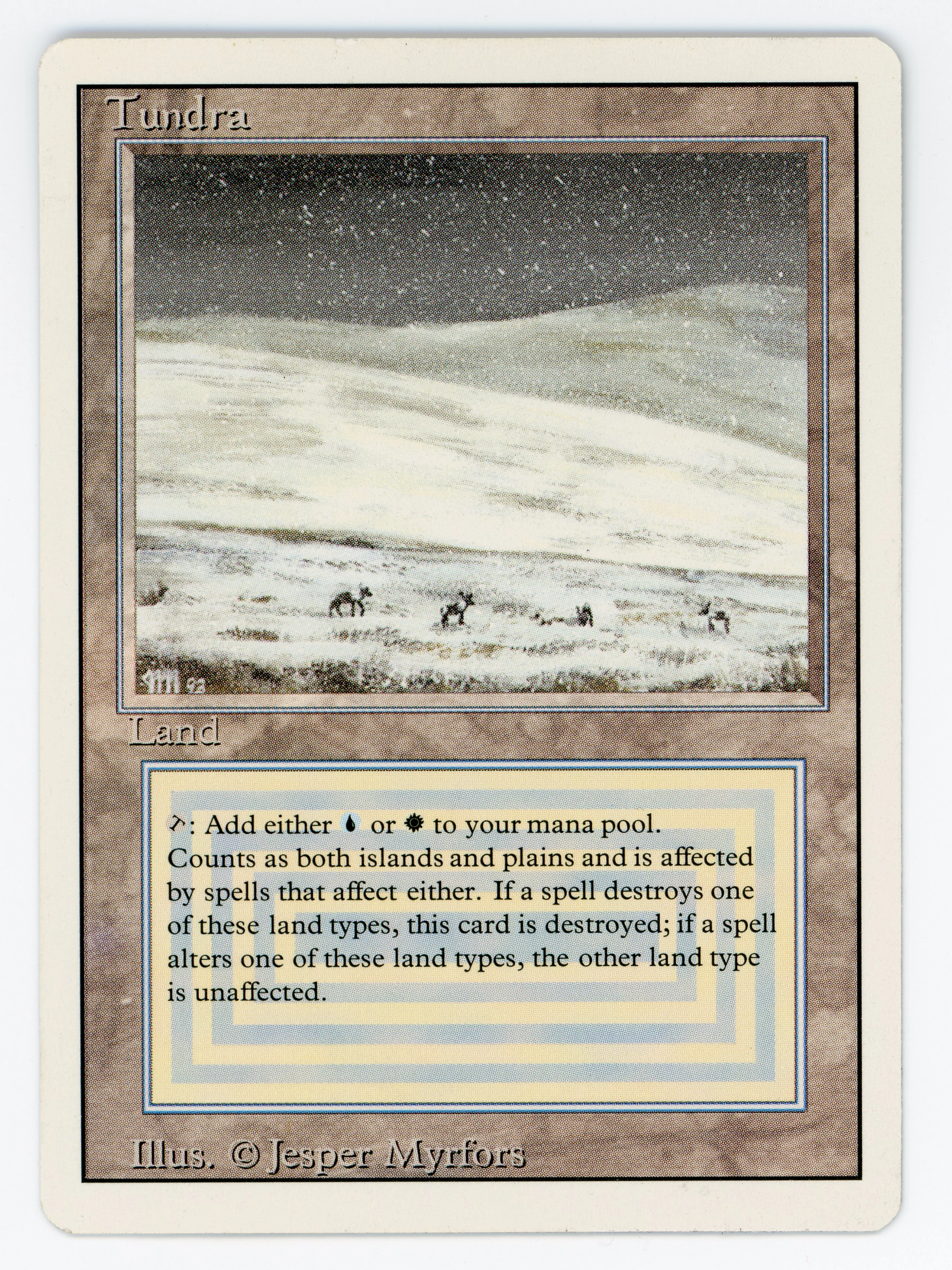 Tundra - Scan 15874