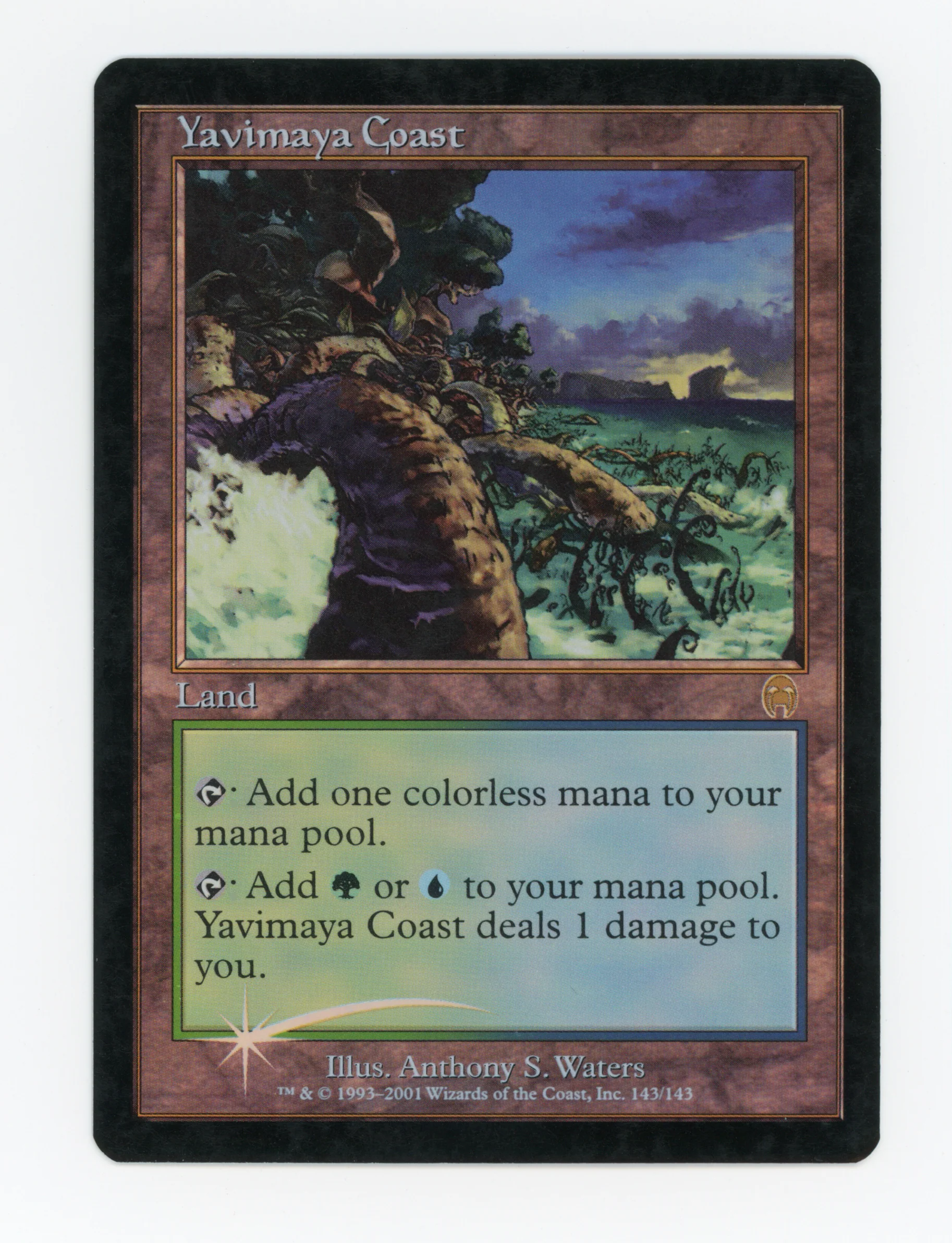 Yavimaya Coast — Foil — ID 16812